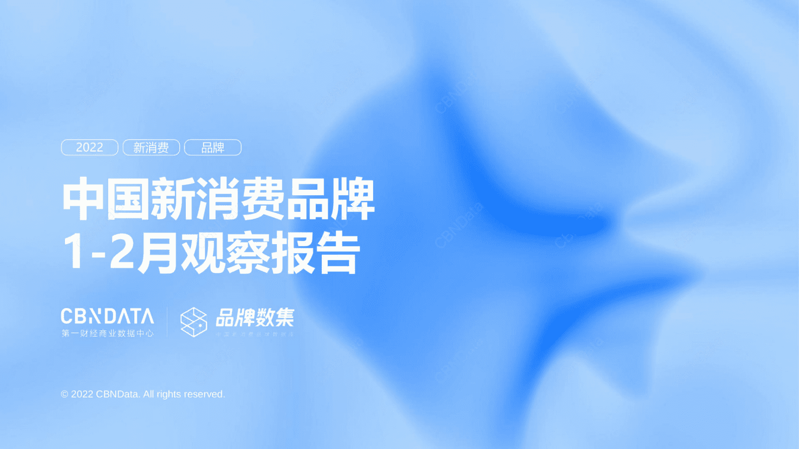 CBNData：中国新消费品牌2023年1-2月观察报告 第1页
