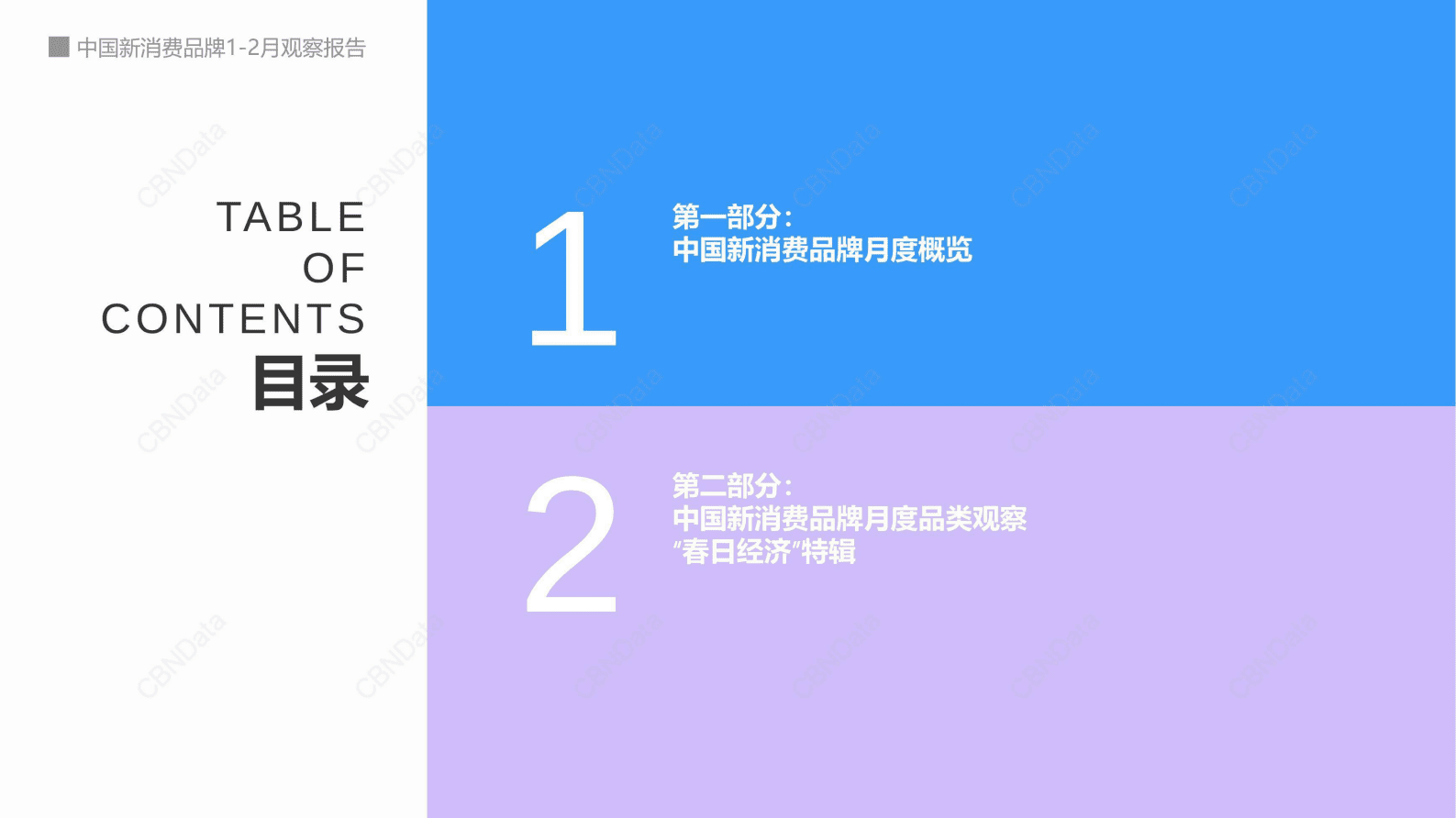 CBNData：中国新消费品牌2023年1-2月观察报告 第2页