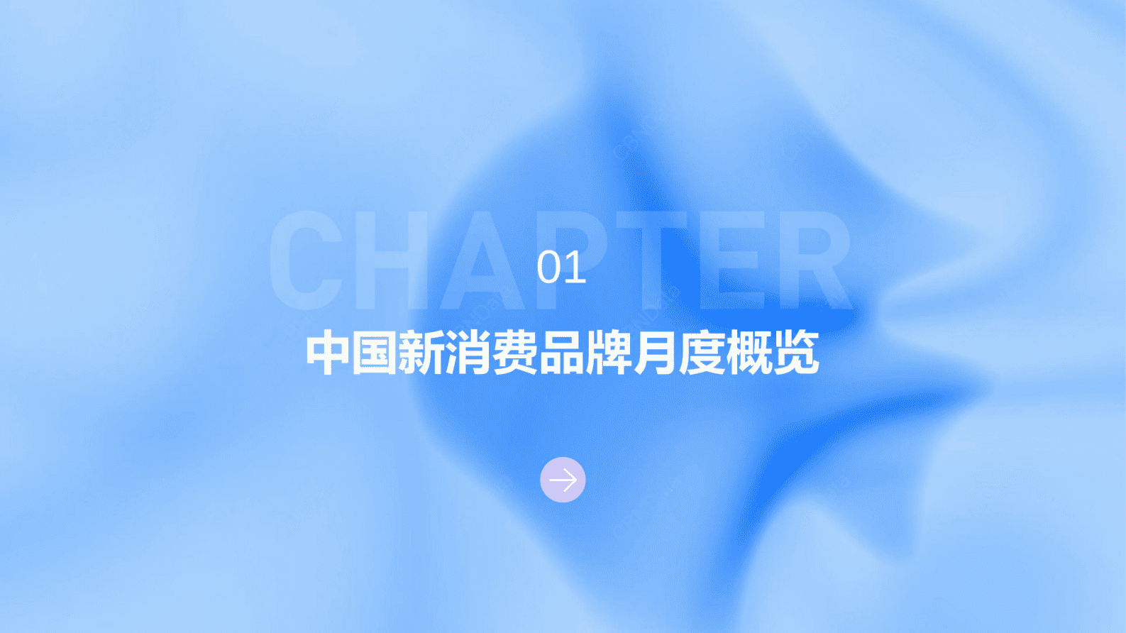 CBNData：中国新消费品牌2023年1-2月观察报告 第4页