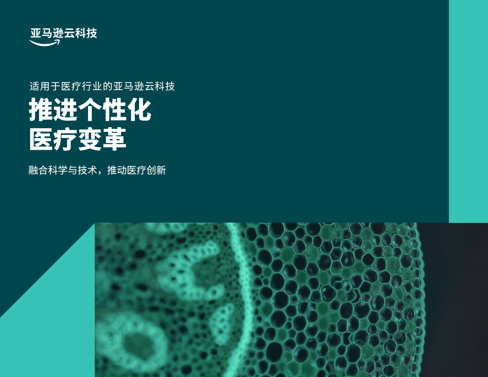 亚马逊云科技（AWS）：推进个性化医疗变革-融合科学与技术，推动医疗创新 第1页