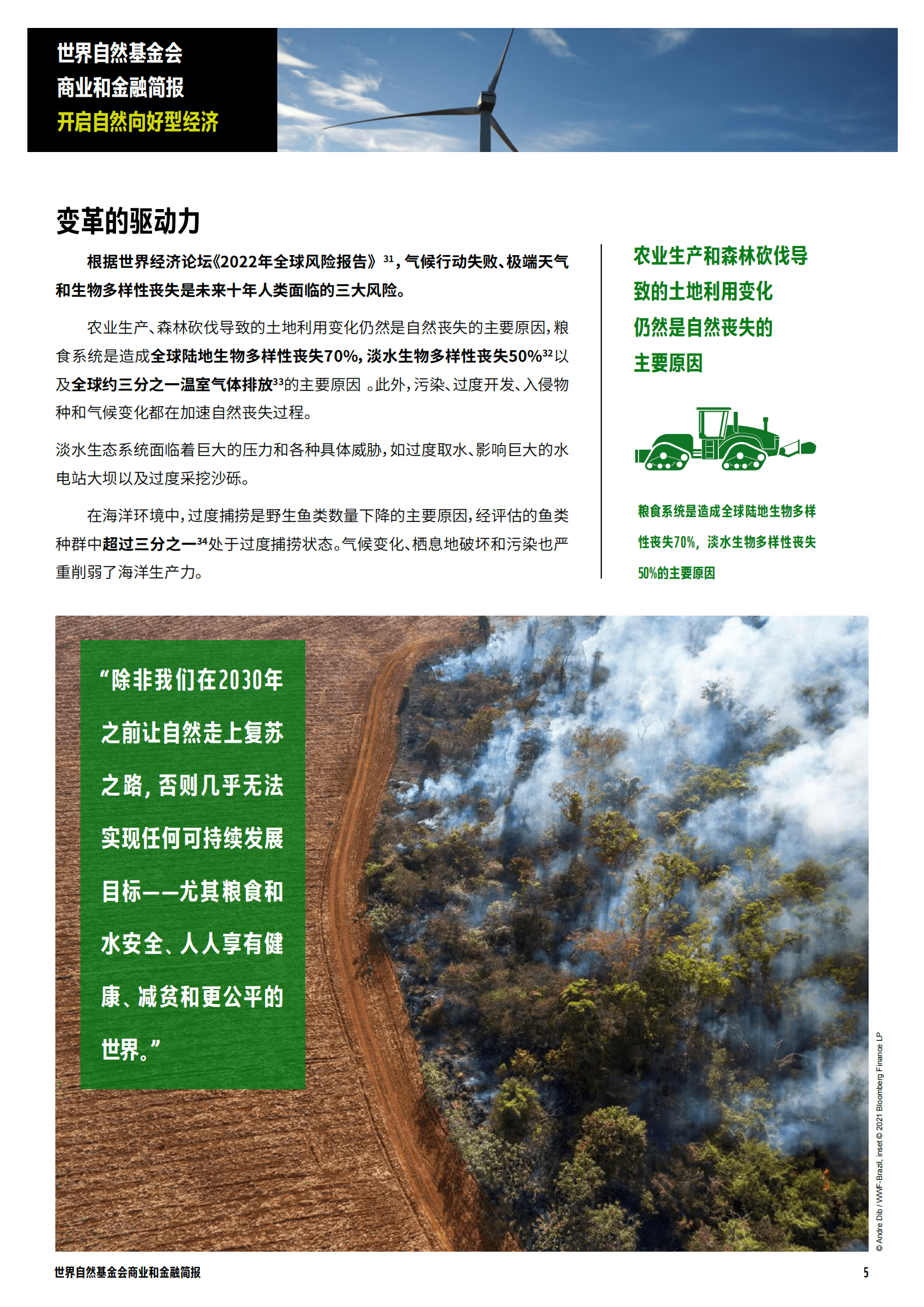 世界自然基金会（WWF）：商业和金融简报-开启自然向好型经济（2022） 第5页