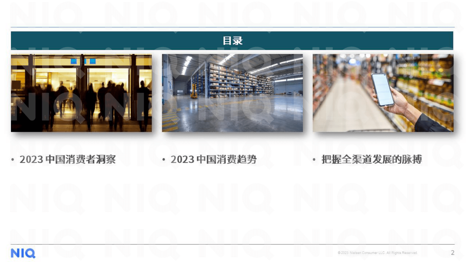 尼尔森IQ：2023年中国消费者洞察与展望 第2页