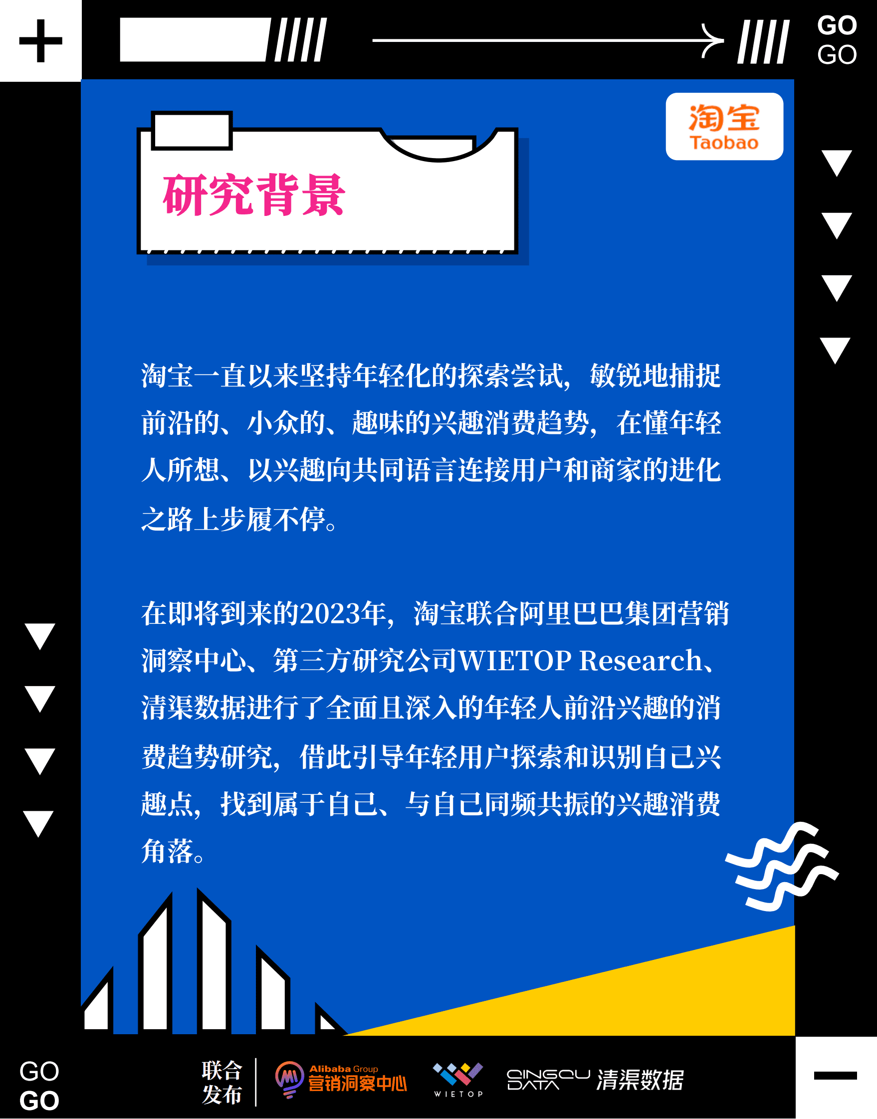 淘宝：2023年12大兴趣消费趋势 第2页