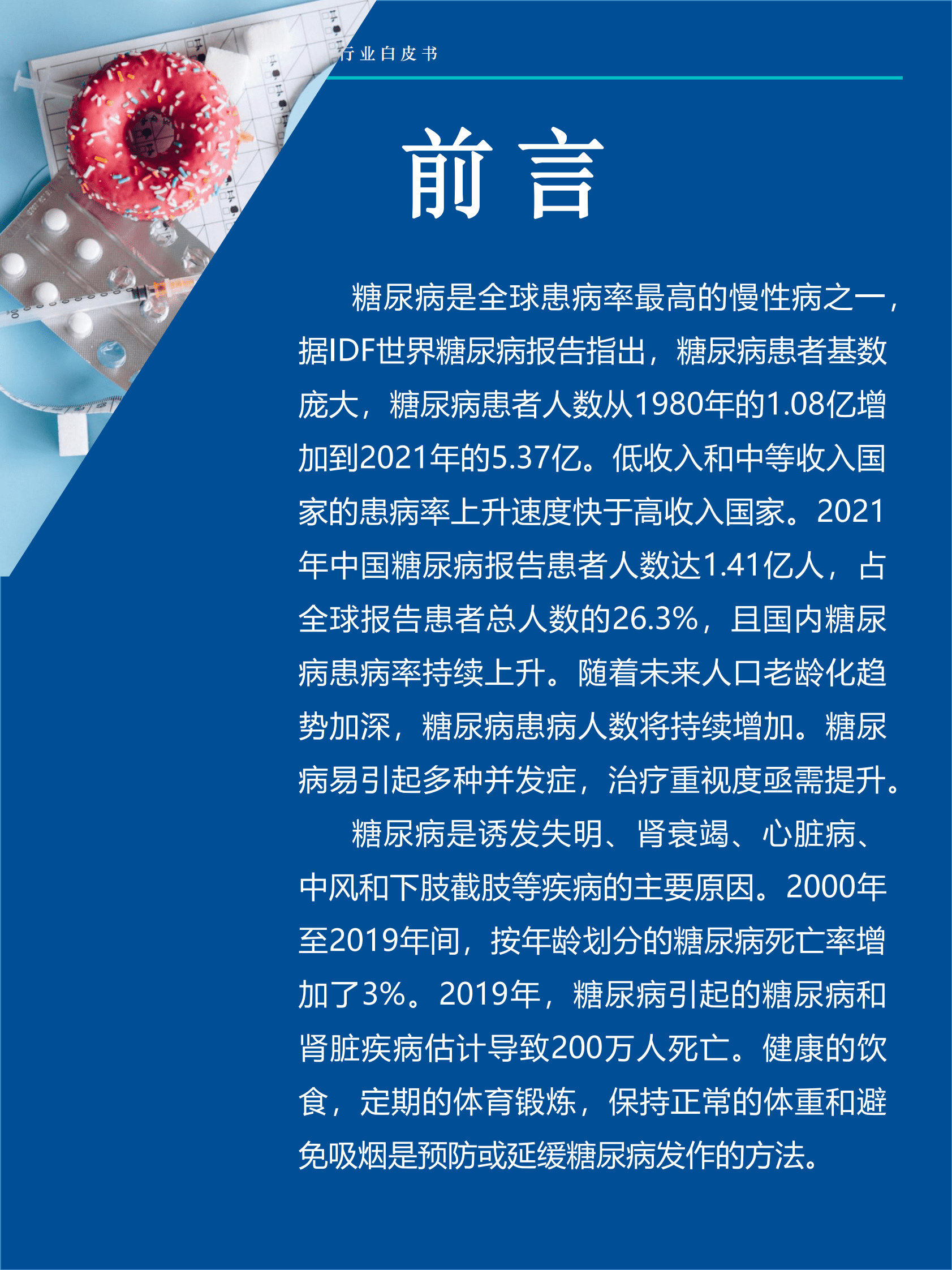 Fastdata极数：2023年中国血糖健康管理行业白皮书 第2页