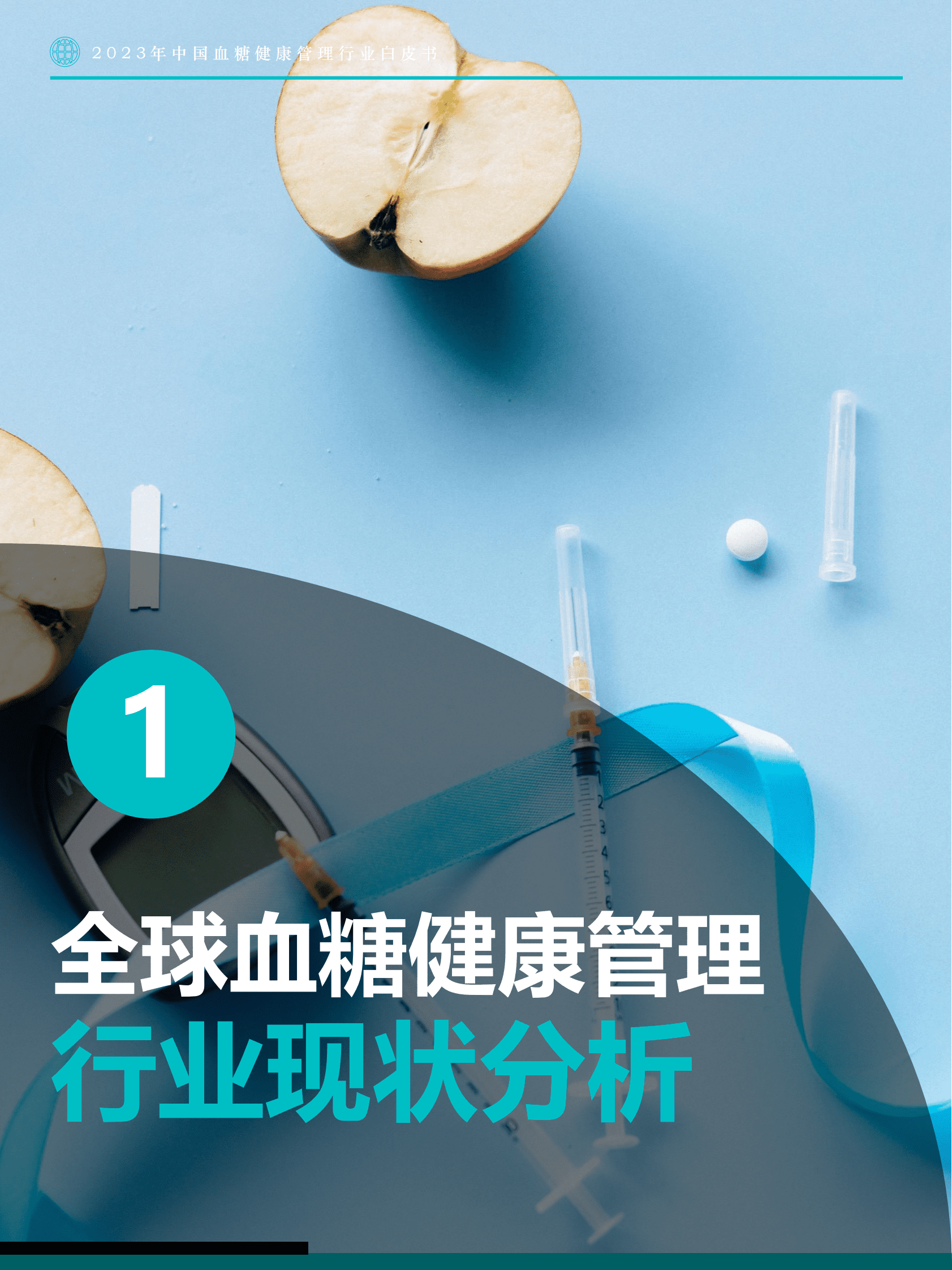 Fastdata极数：2023年中国血糖健康管理行业白皮书 第4页