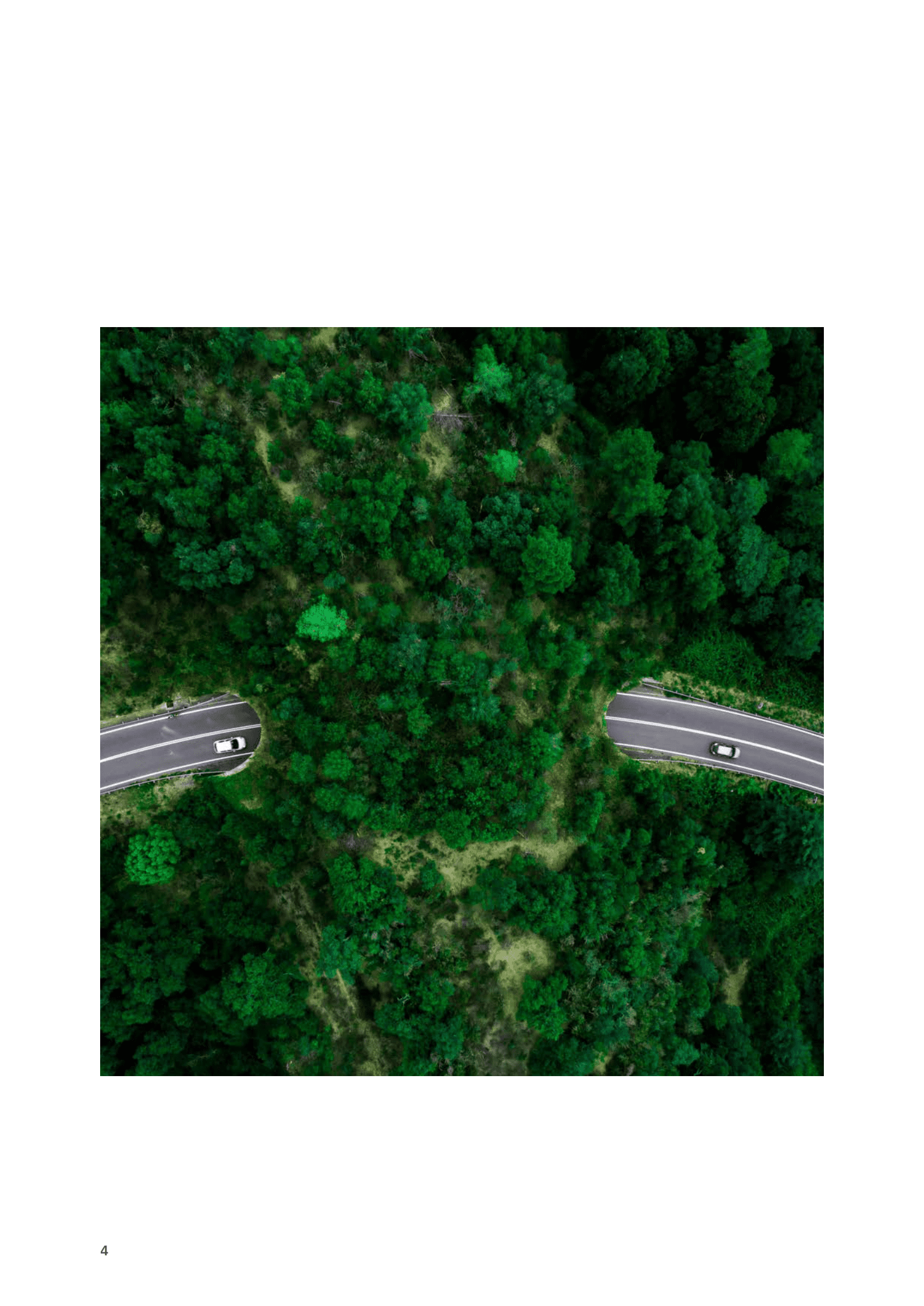 IBM：低碳出行引领可持续发展：汽车电动化转型驶入“加速道” 第6页