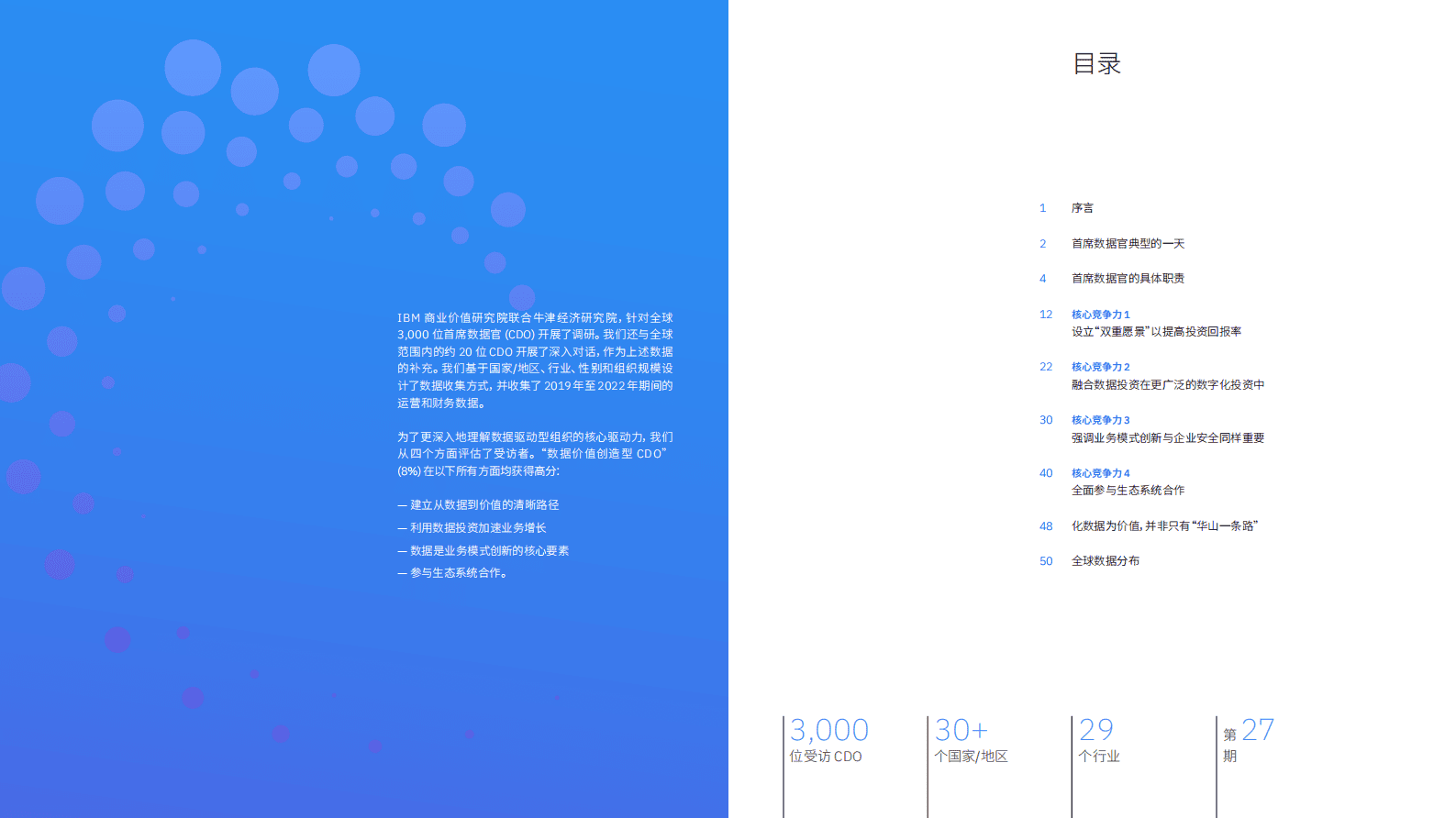 IBM：化数据为价值：卓越首席数据官事半功倍创造价值 第2页