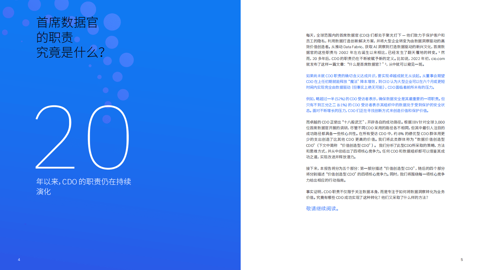 IBM：化数据为价值：卓越首席数据官事半功倍创造价值 第5页