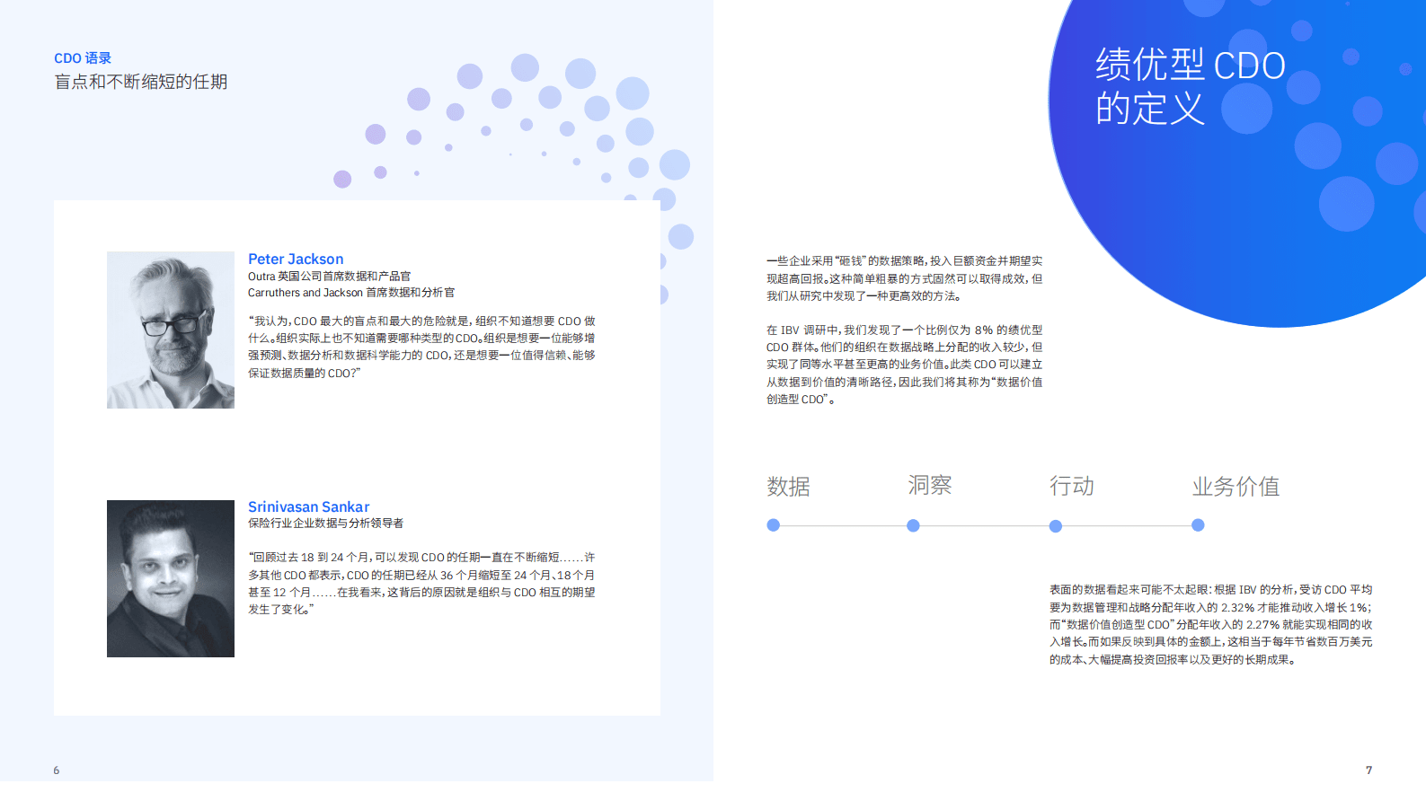 IBM：化数据为价值：卓越首席数据官事半功倍创造价值 第6页