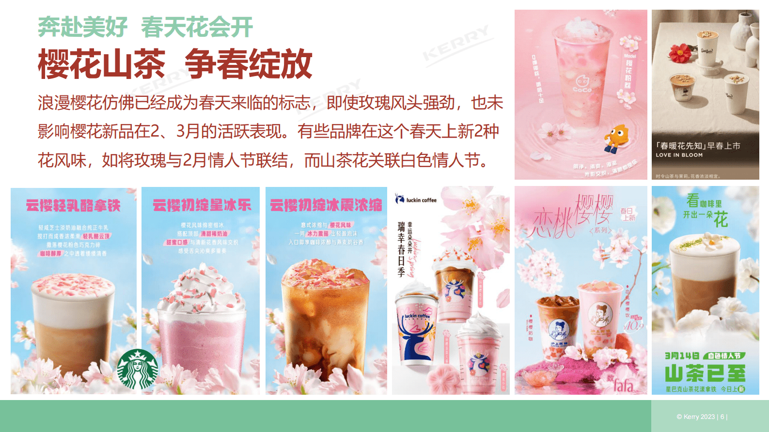凯爱瑞：2023年1季度新饮观察报告 第6页