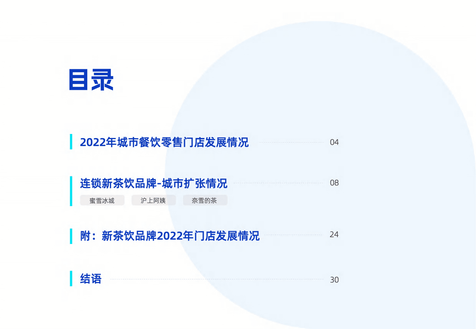 GeoQ智图：2022年连锁新茶饮城市扩张发展年度盘点 第3页