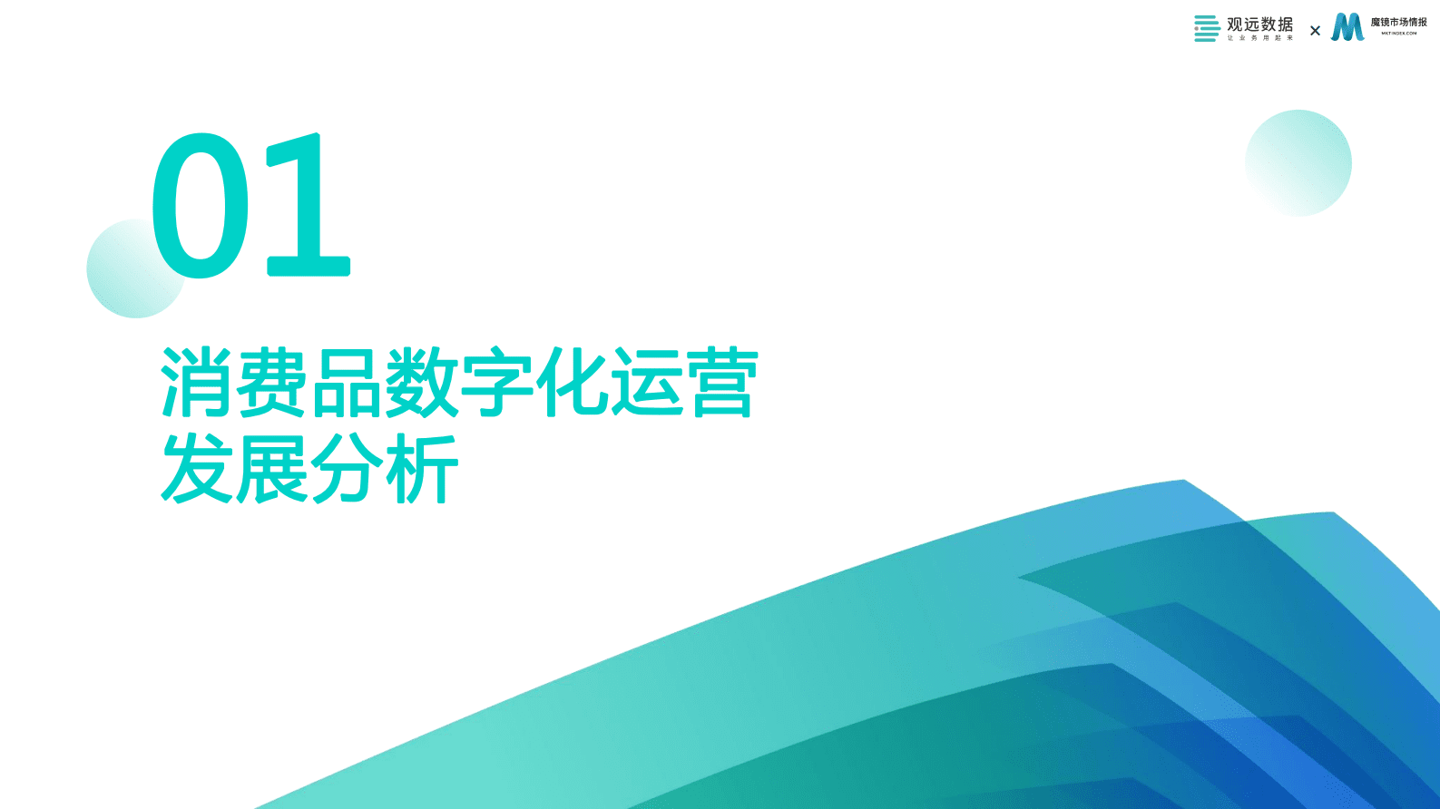 魔镜市场情报&观远数据：2023消费品数字化运营发展白皮书 第3页