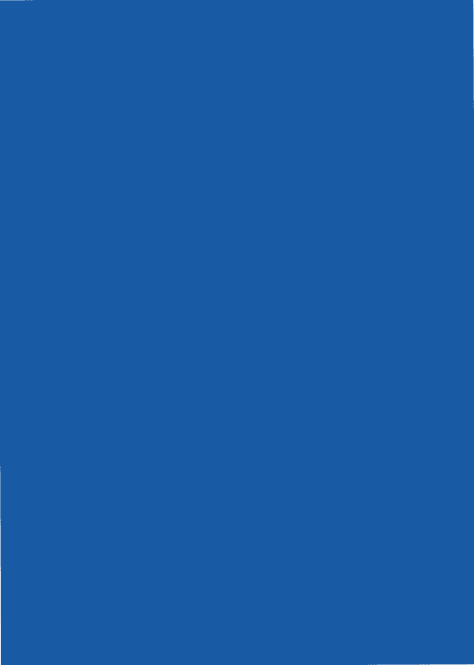 HRflag：2023企业出海人力资源服务指南 第2页