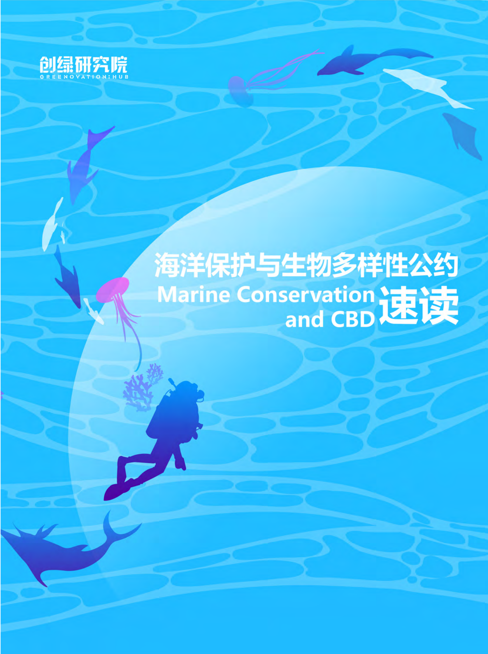 创绿研究院：海洋保护与生物多样性公约速度 第1页