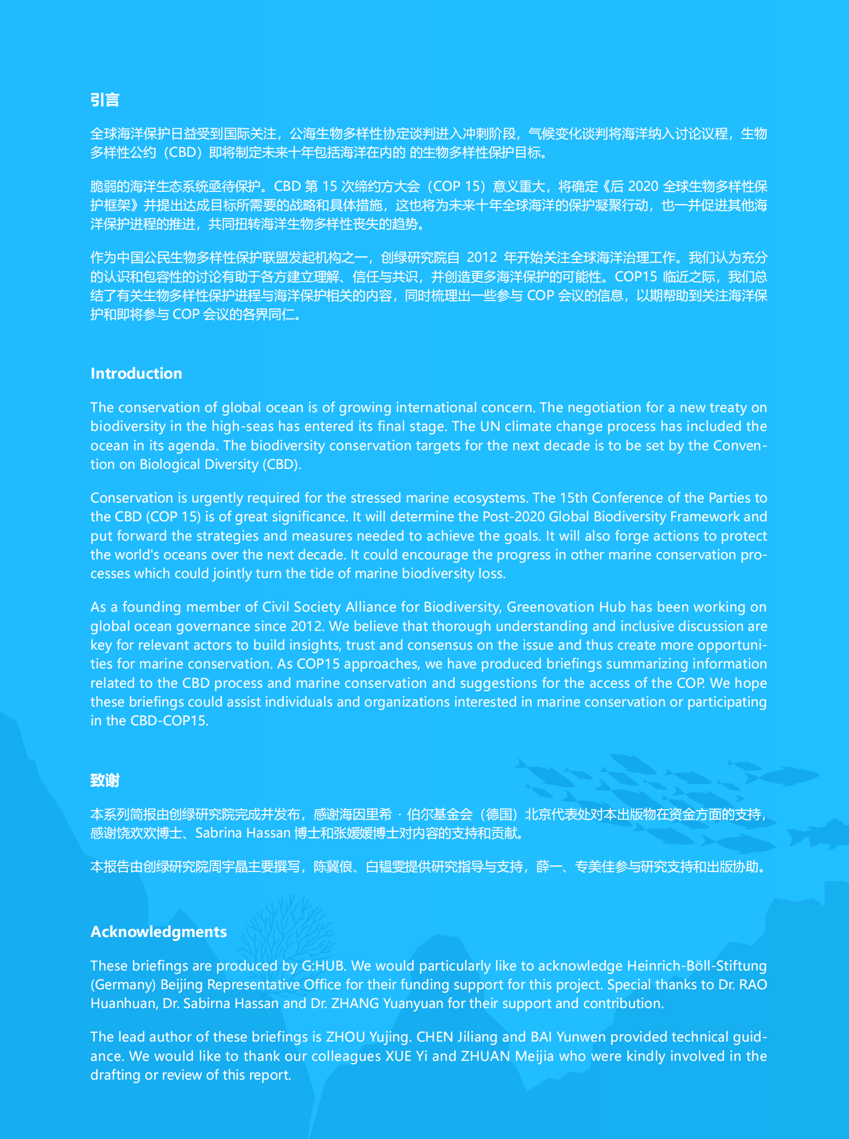 创绿研究院：海洋保护与生物多样性公约速度 第2页