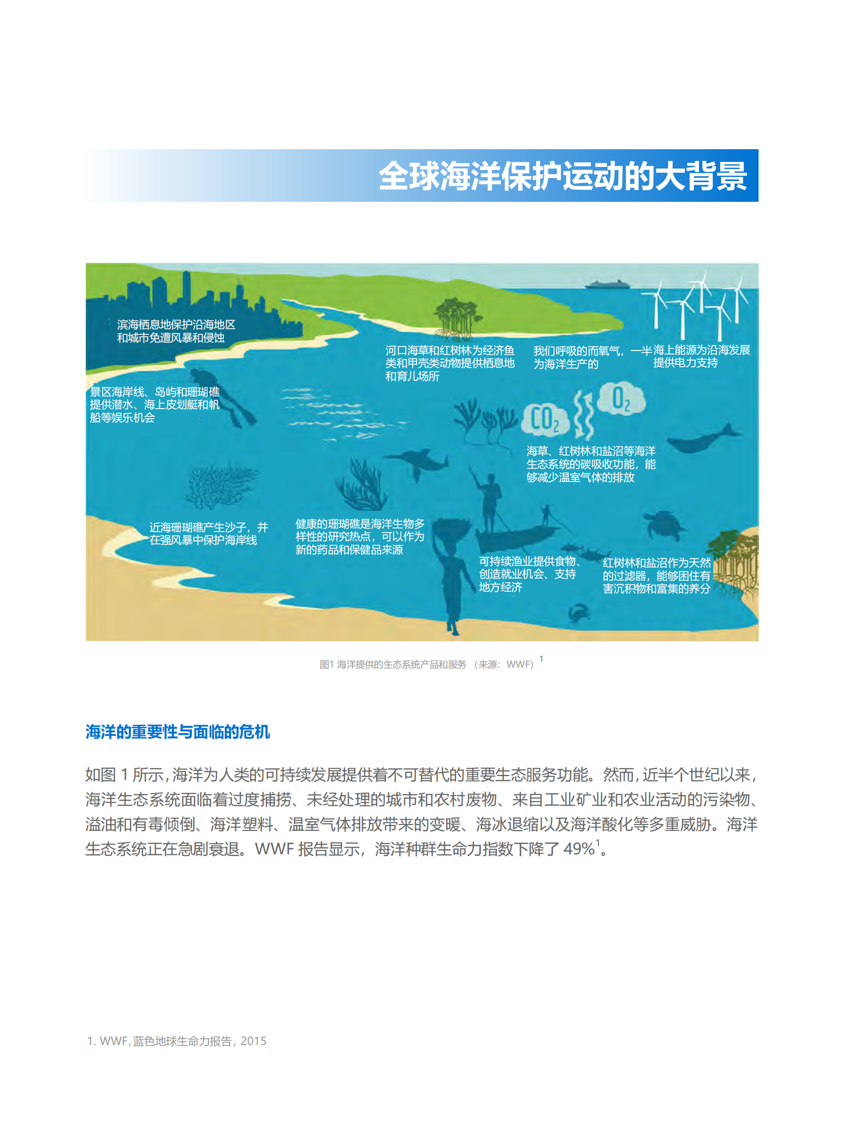 创绿研究院：海洋保护与生物多样性公约速度 第4页