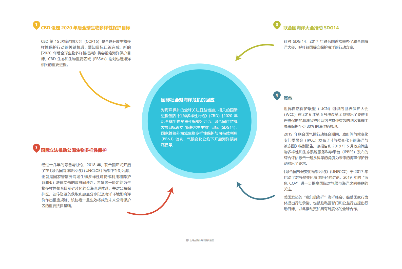 创绿研究院：海洋保护与生物多样性公约速度 第5页