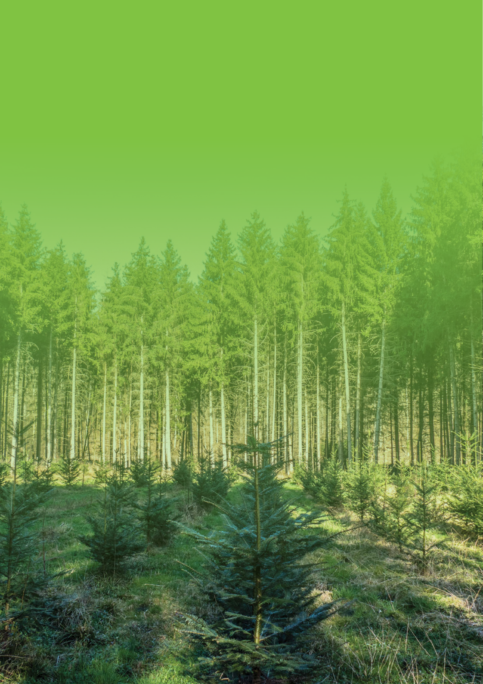 德勤：银行业气候中和进程：银行业在全球经济低碳转型中的作用 第2页