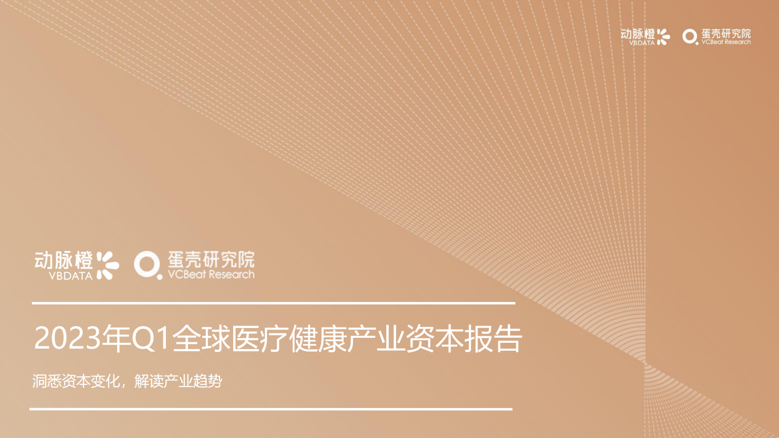 动脉橙：2023年Q1全球医疗健康产业资本报告 第1页