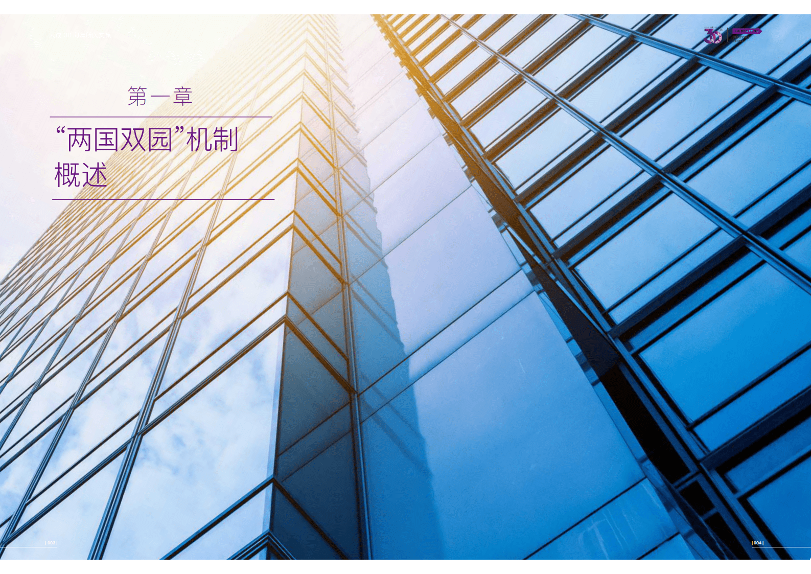 大成Dentons：两国双园项目操作要点与法律实务（2022） 第5页