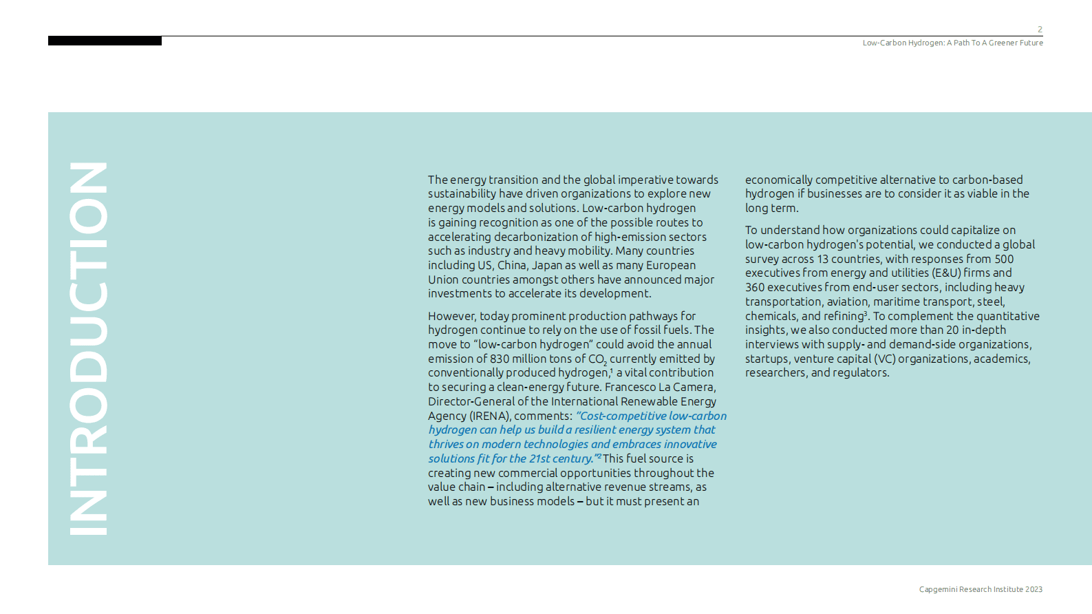 2023年低碳氢行业报告【英】 第2页