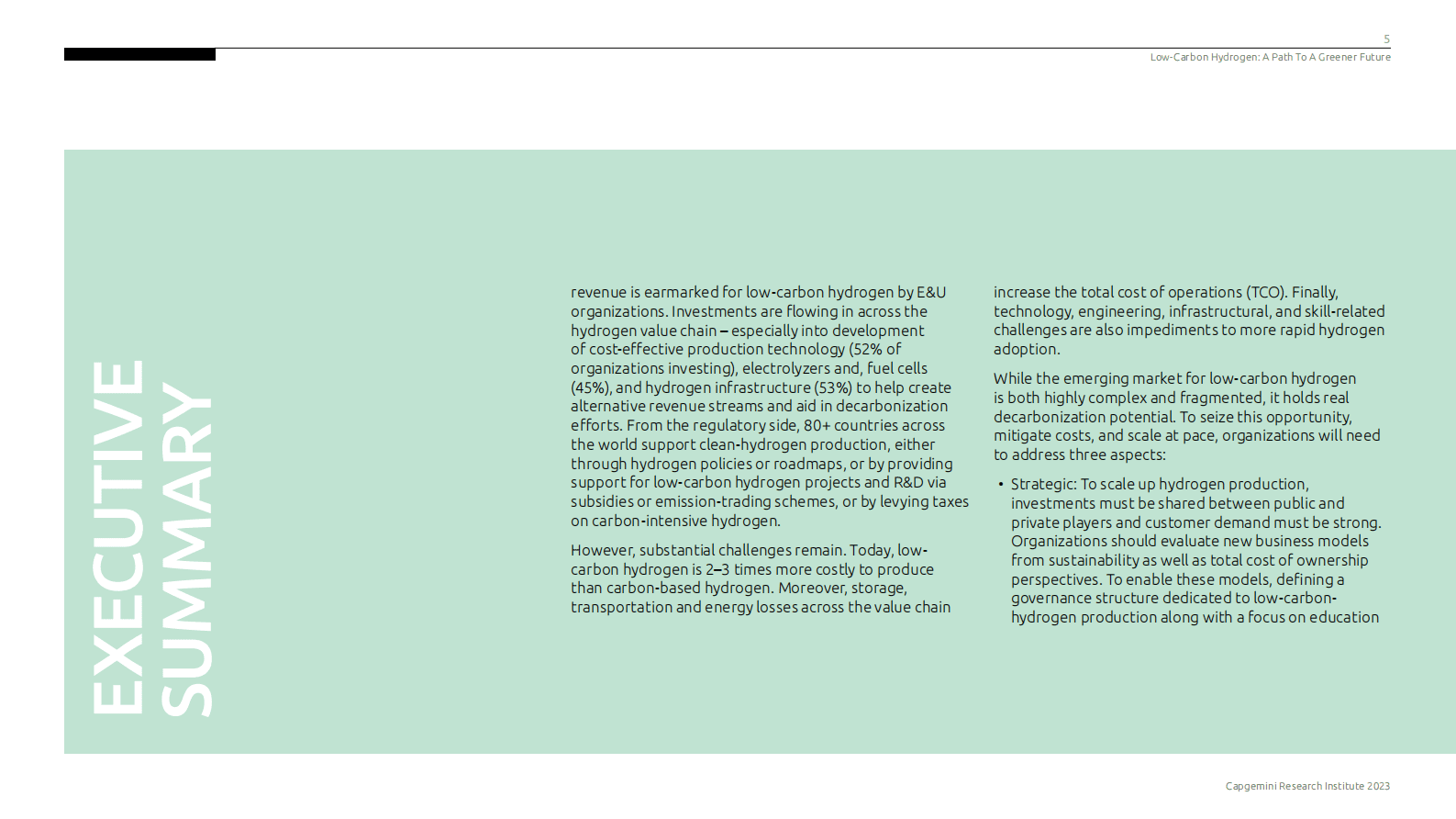 2023年低碳氢行业报告【英】 第5页