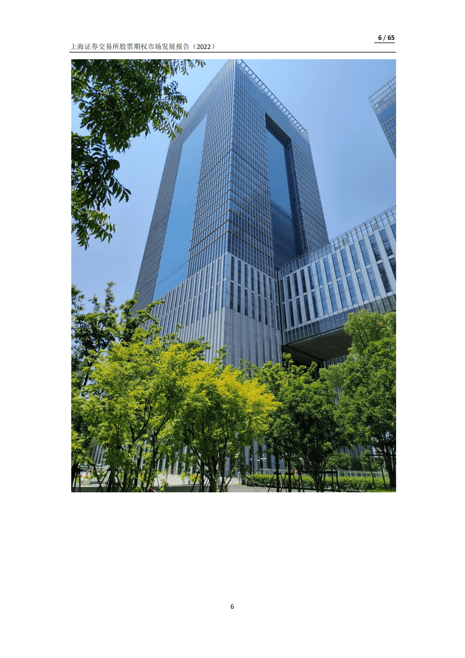 上海证券交易所股票期权市场发展报告（2022） 第6页