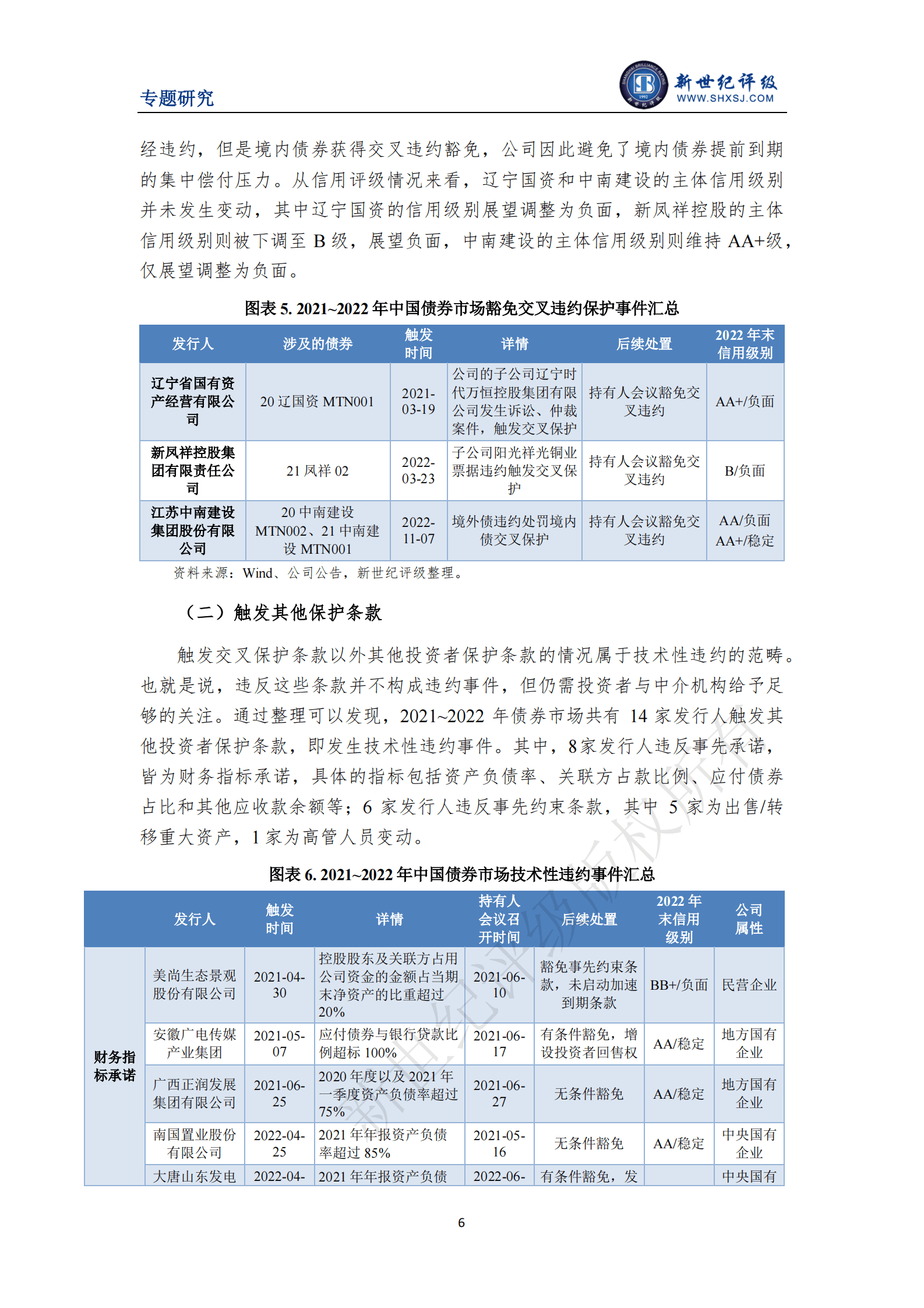 新世纪评级：我国债券市场投资者保护条款设置和触发情况研究 第6页