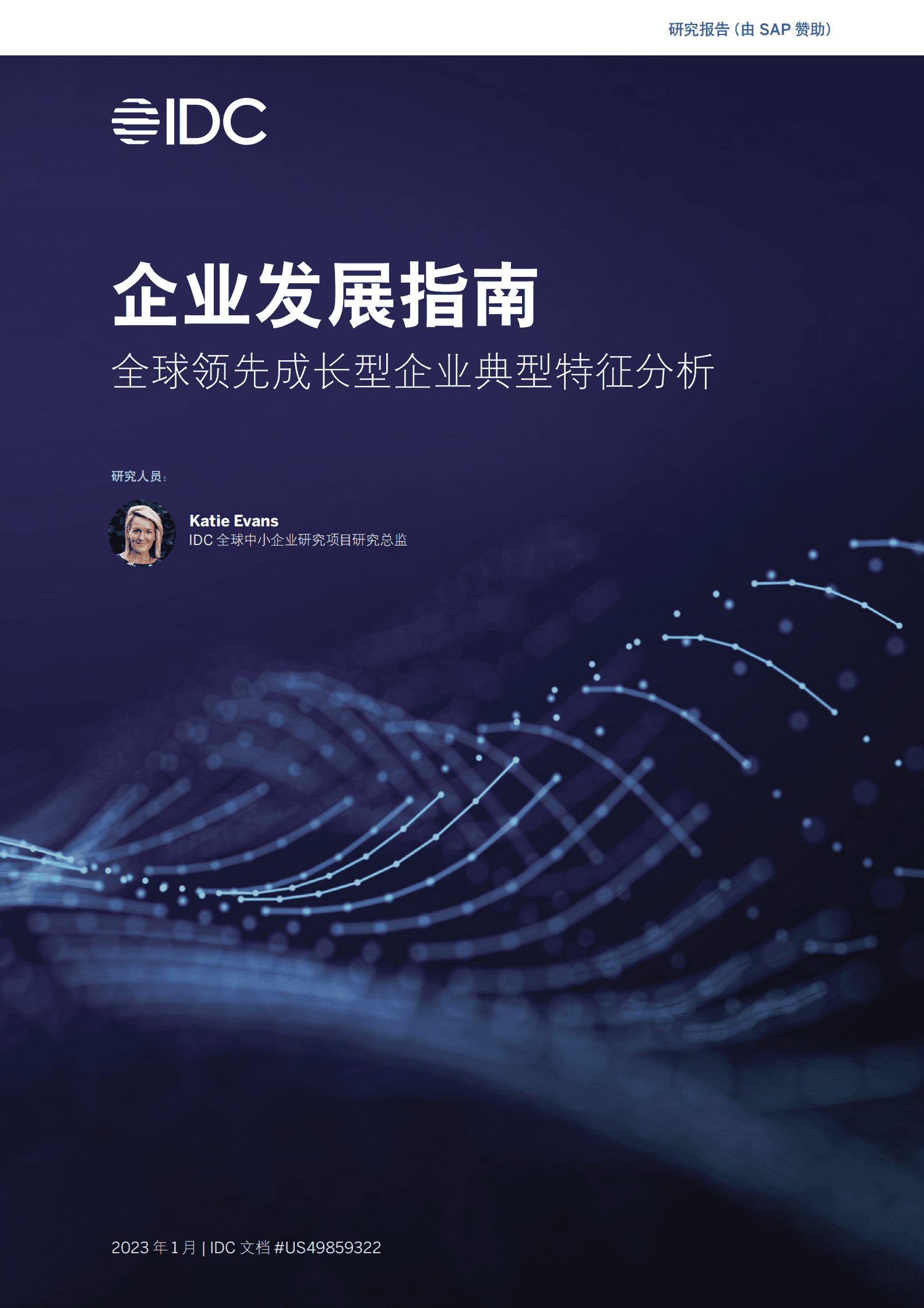 IDC：企业发展指南：全球领先成长型企业典型特征分析 第1页