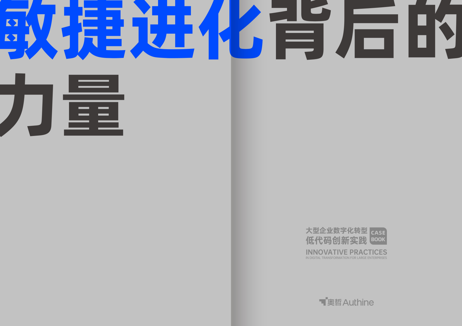 奥哲：2023大型企业数字化转型低代码创新实践案例册 第3页