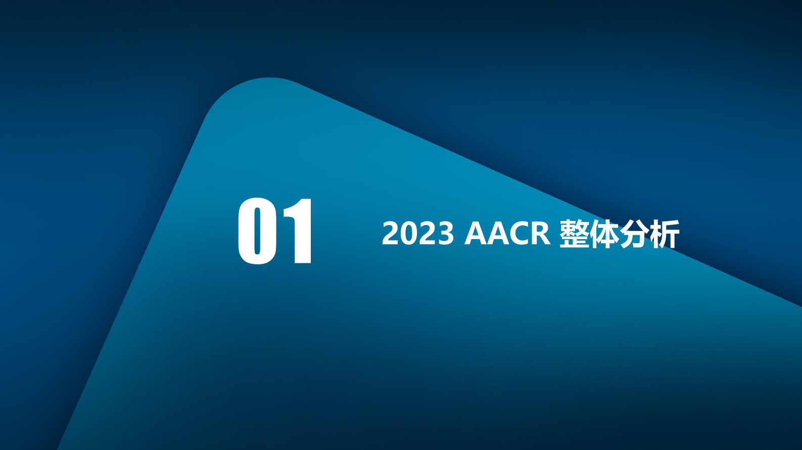医药魔方：2023AACR新药开发机会分析 第4页