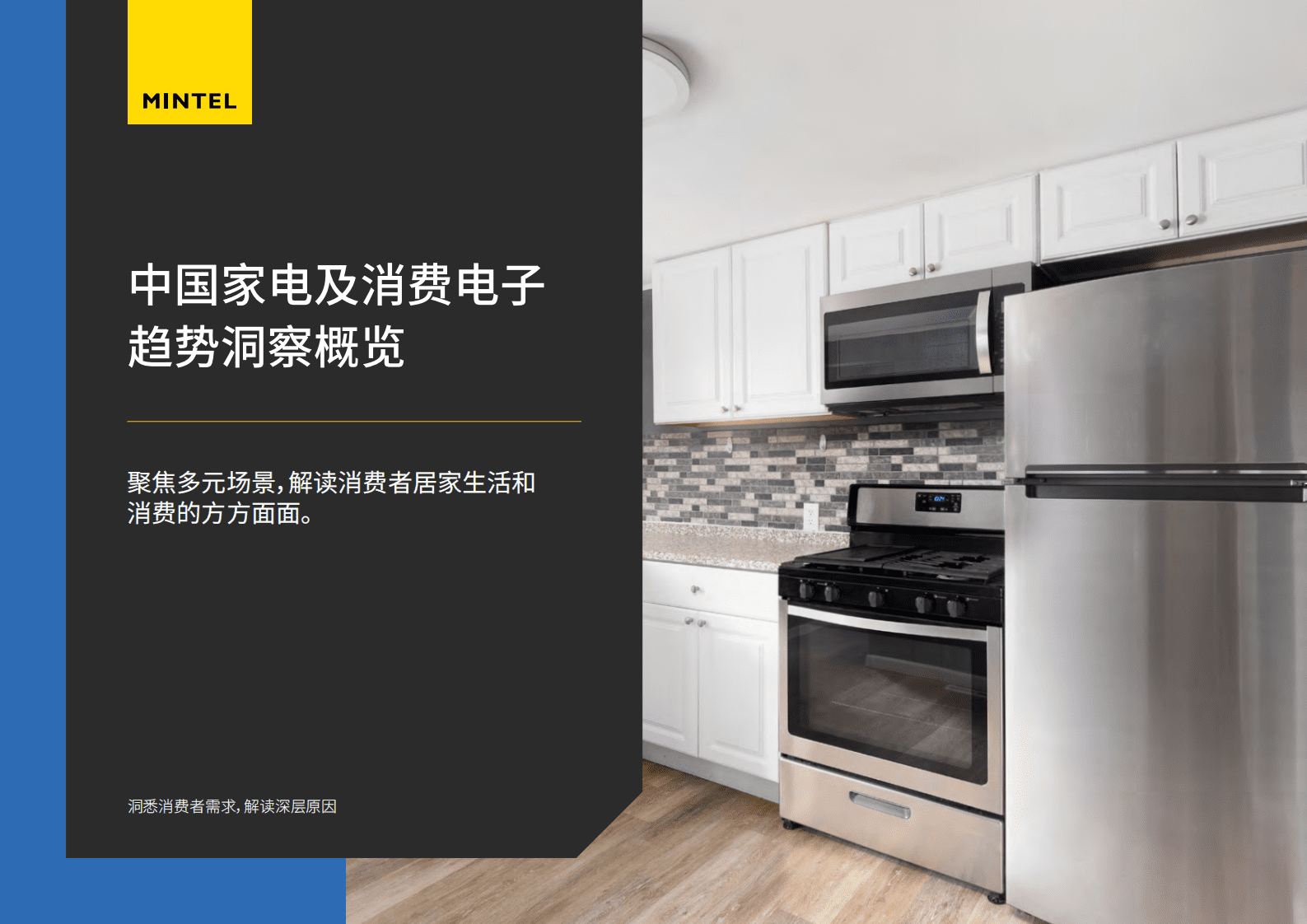 英敏特：中国家电及消费电子趋势洞察概览 第1页