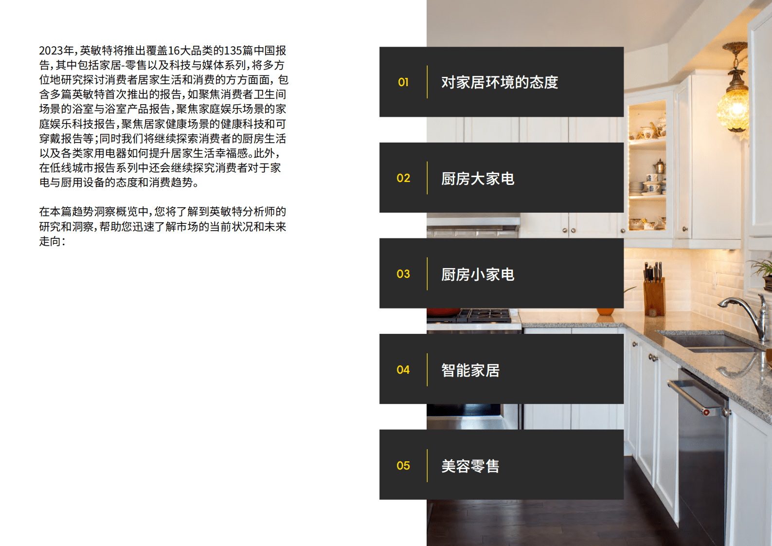 英敏特：中国家电及消费电子趋势洞察概览 第2页
