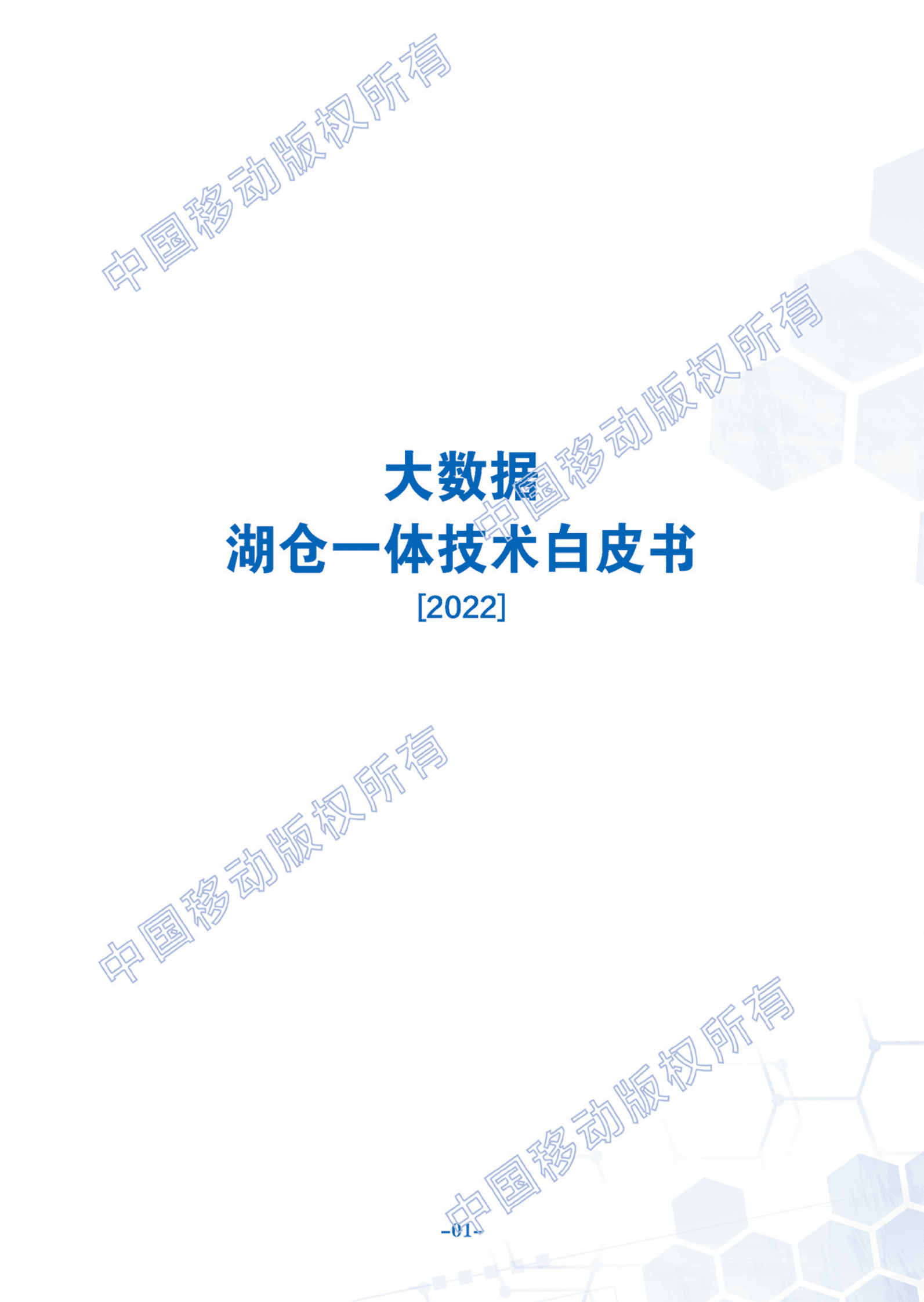 中国移动：2022大数据湖仓一体技术白皮书 第2页
