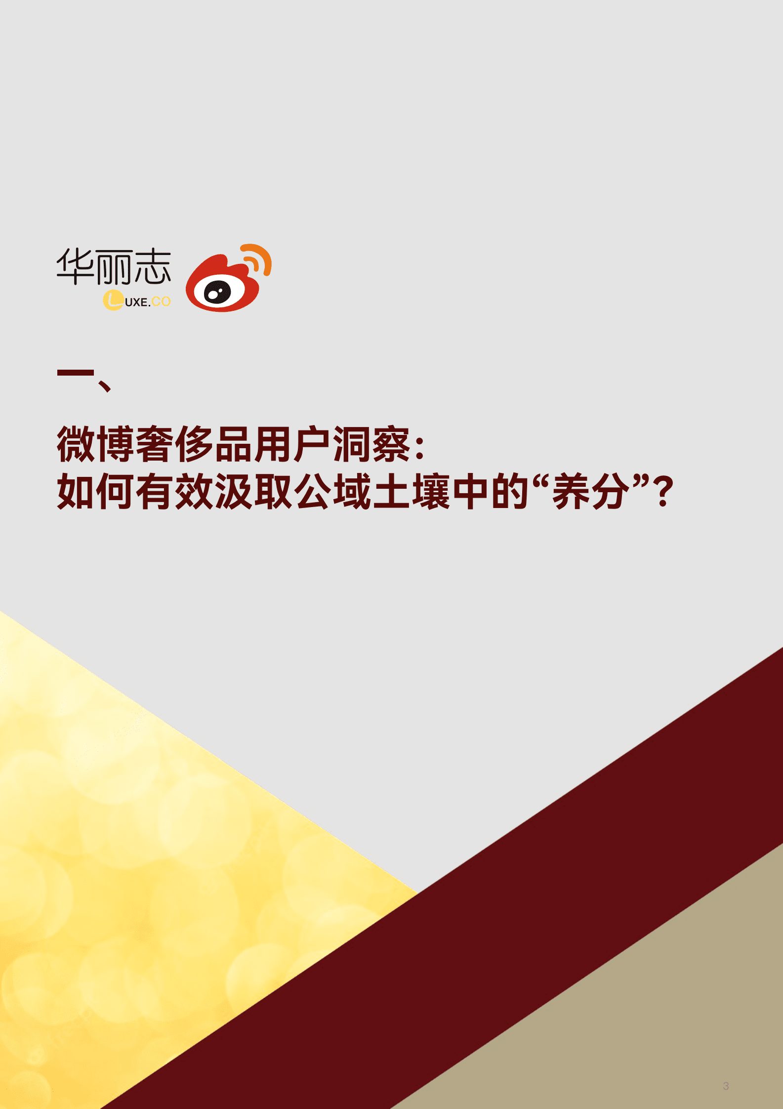 华丽志&微博：2022中国奢侈品营销报告 第4页