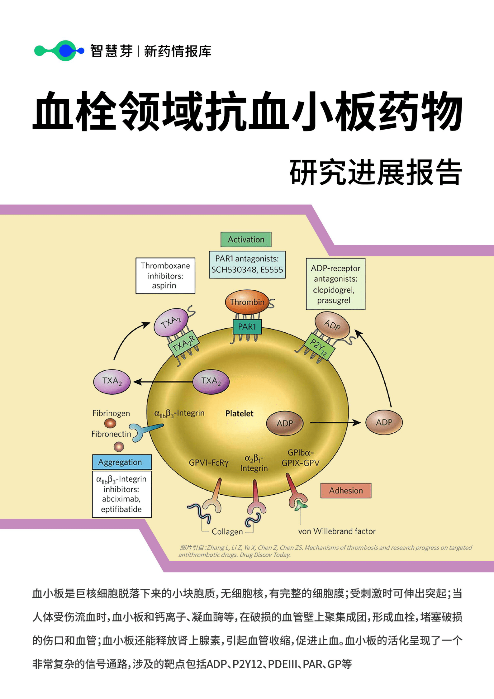 智慧芽：血栓领域抗血小板药物研究进展报告 第1页