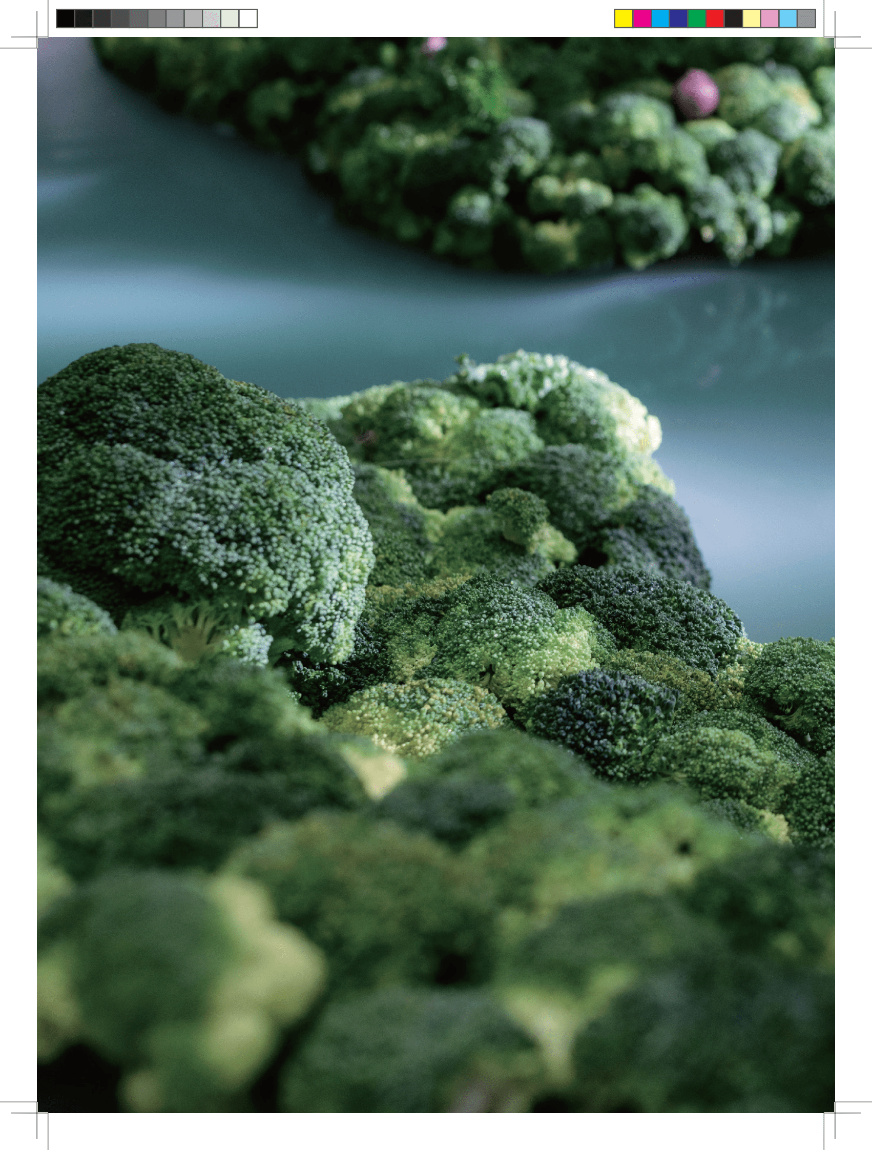 中国农业大学：2023中国与全球食物政策报告 第3页