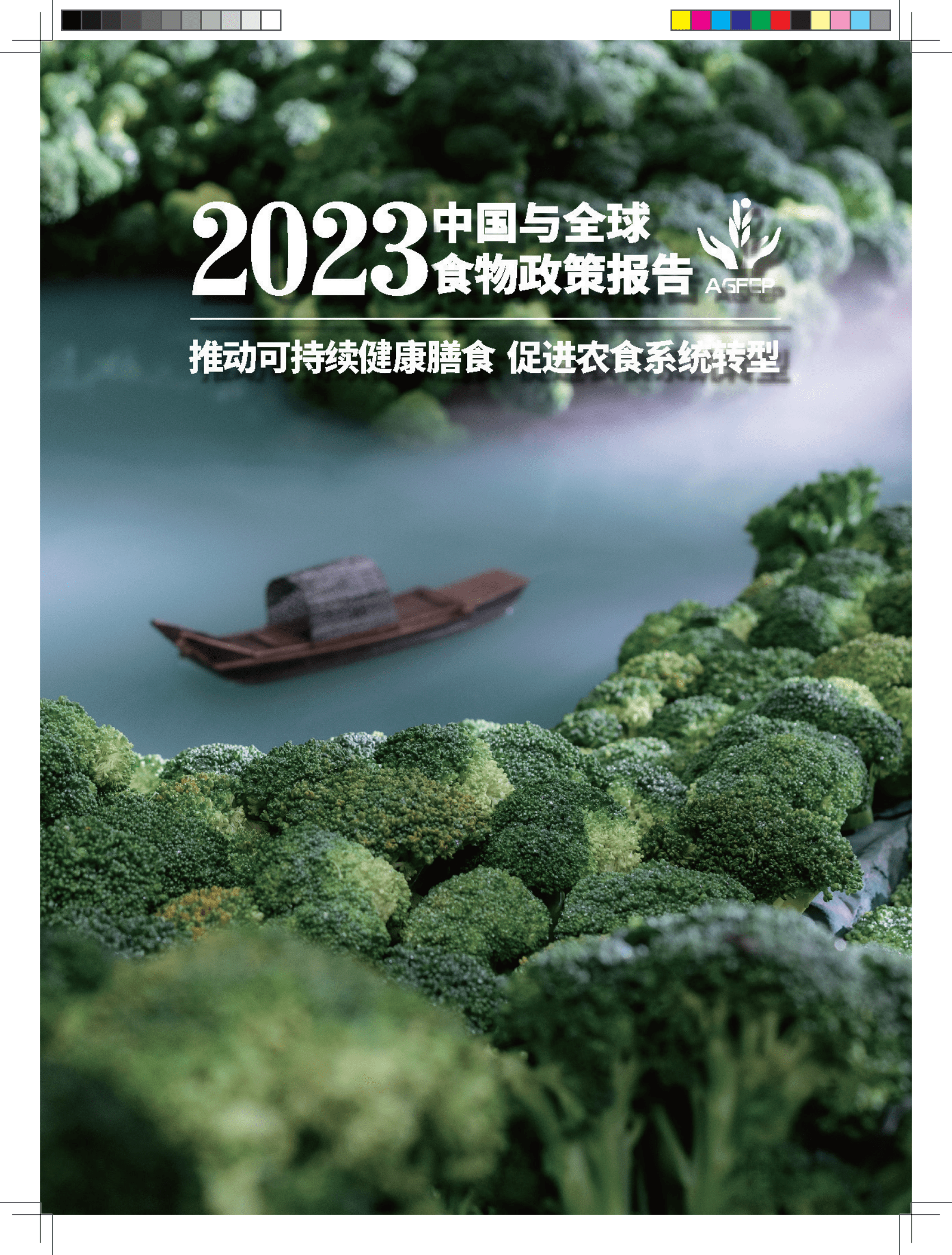 中国农业大学：2023中国与全球食物政策报告 第4页