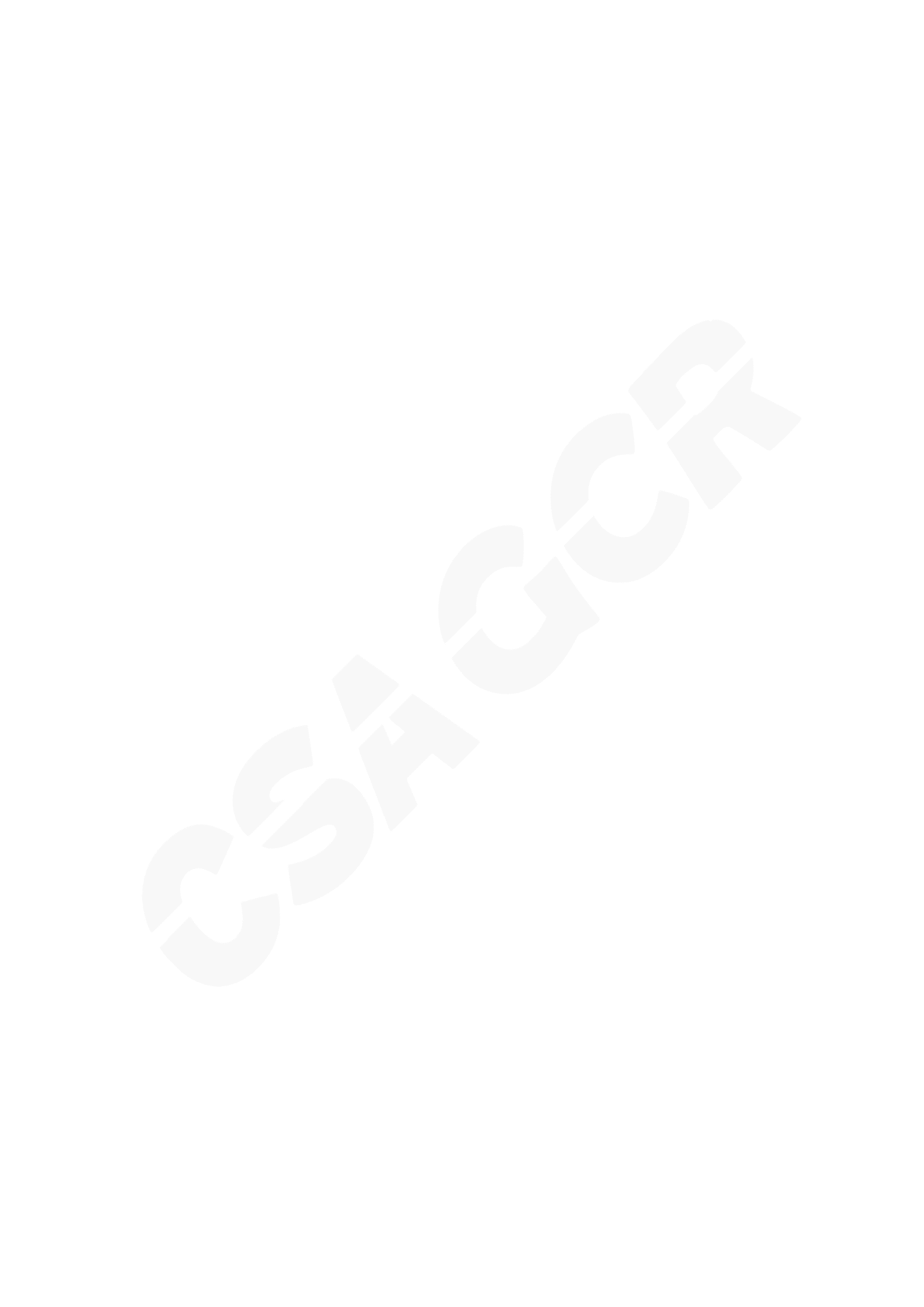 CSA GCR：中国零信任神兽方阵分析报告（2022年） 第4页