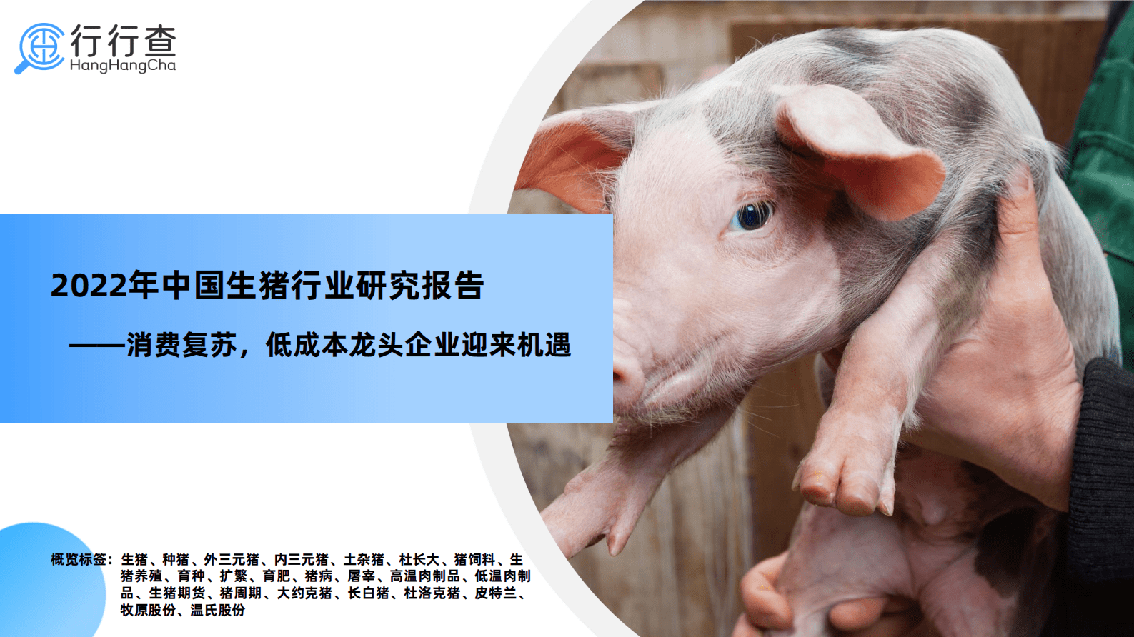 行行查：2022年中国生猪行业研究报告 第1页