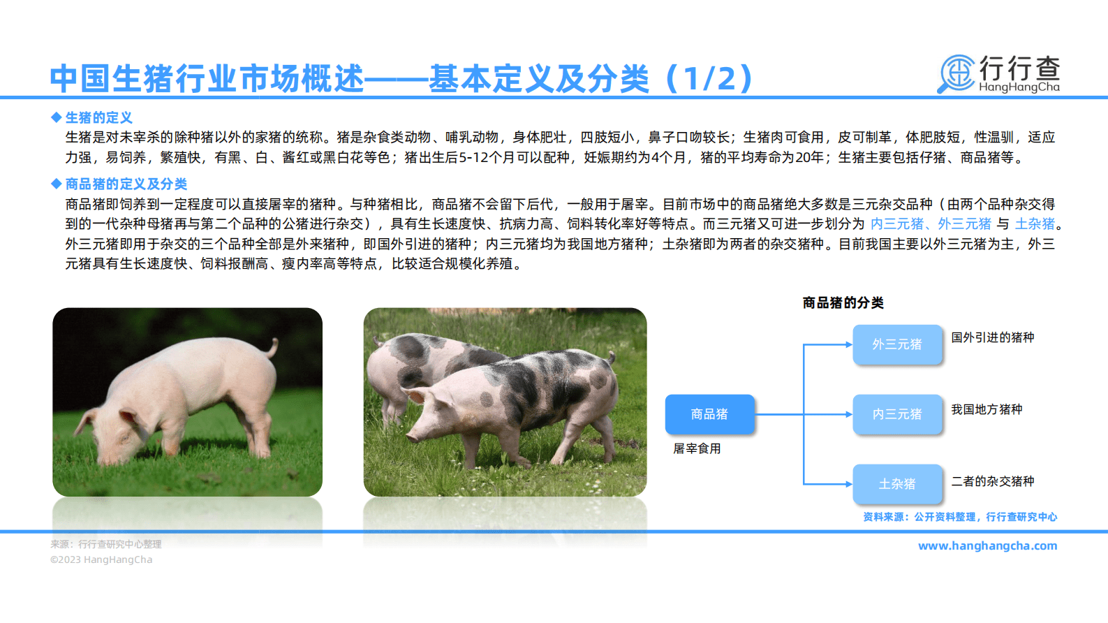 行行查：2022年中国生猪行业研究报告 第4页