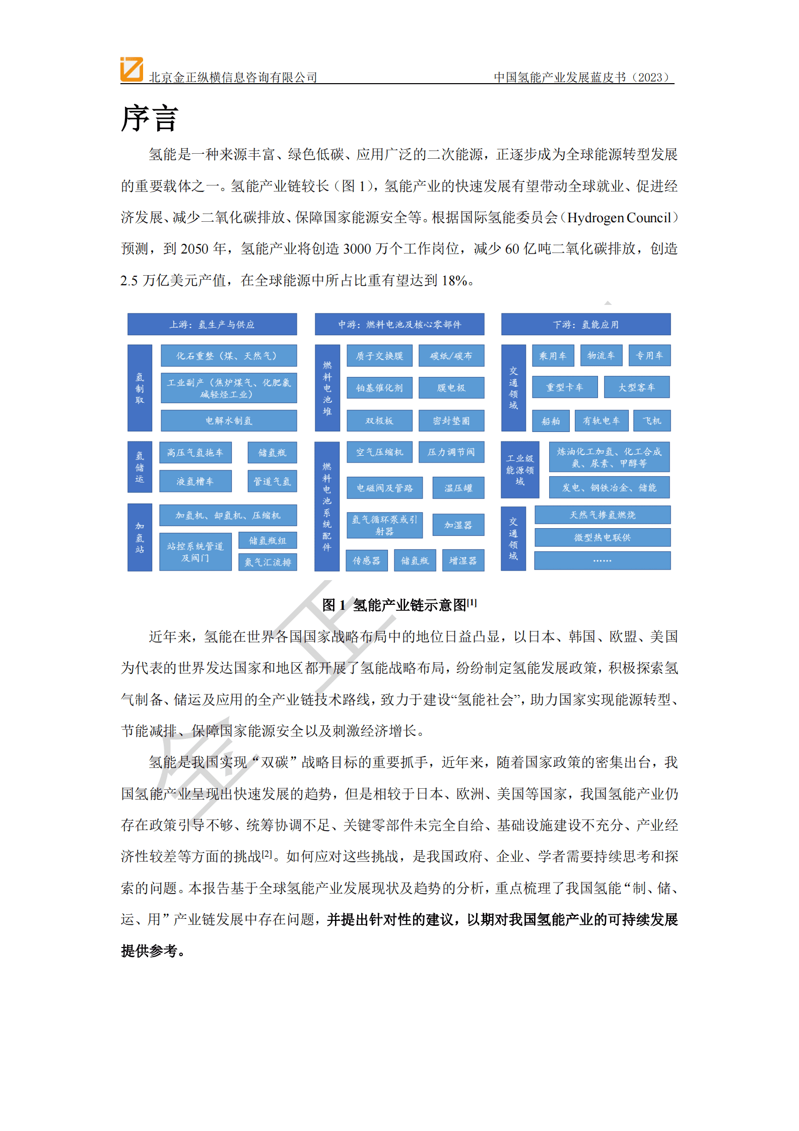 金正纵横：中国氢能产业发展蓝皮书（2023） 第2页