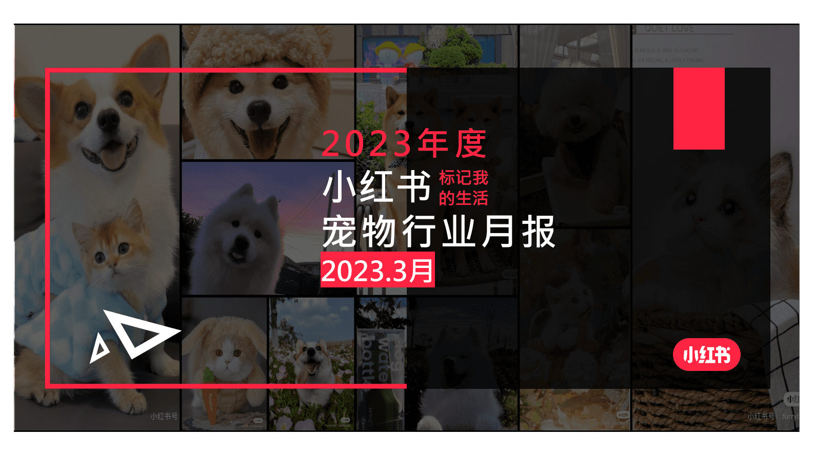 小红书：2023年3月小红书宠物行业月报 第1页