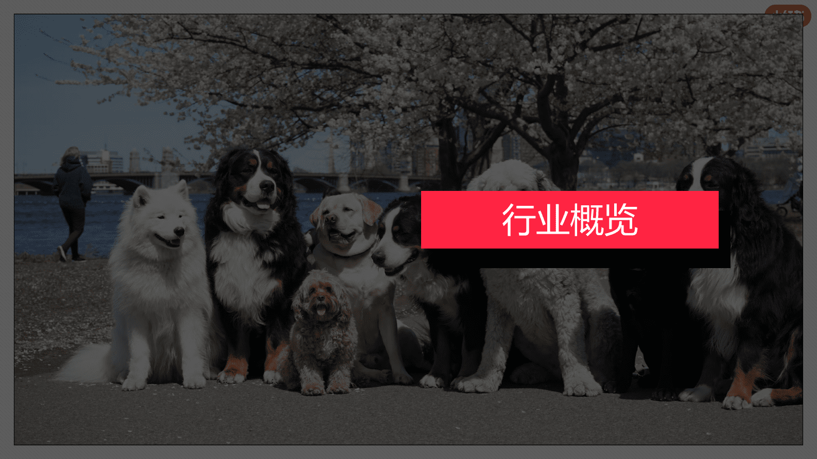 小红书：2023年3月小红书宠物行业月报 第3页