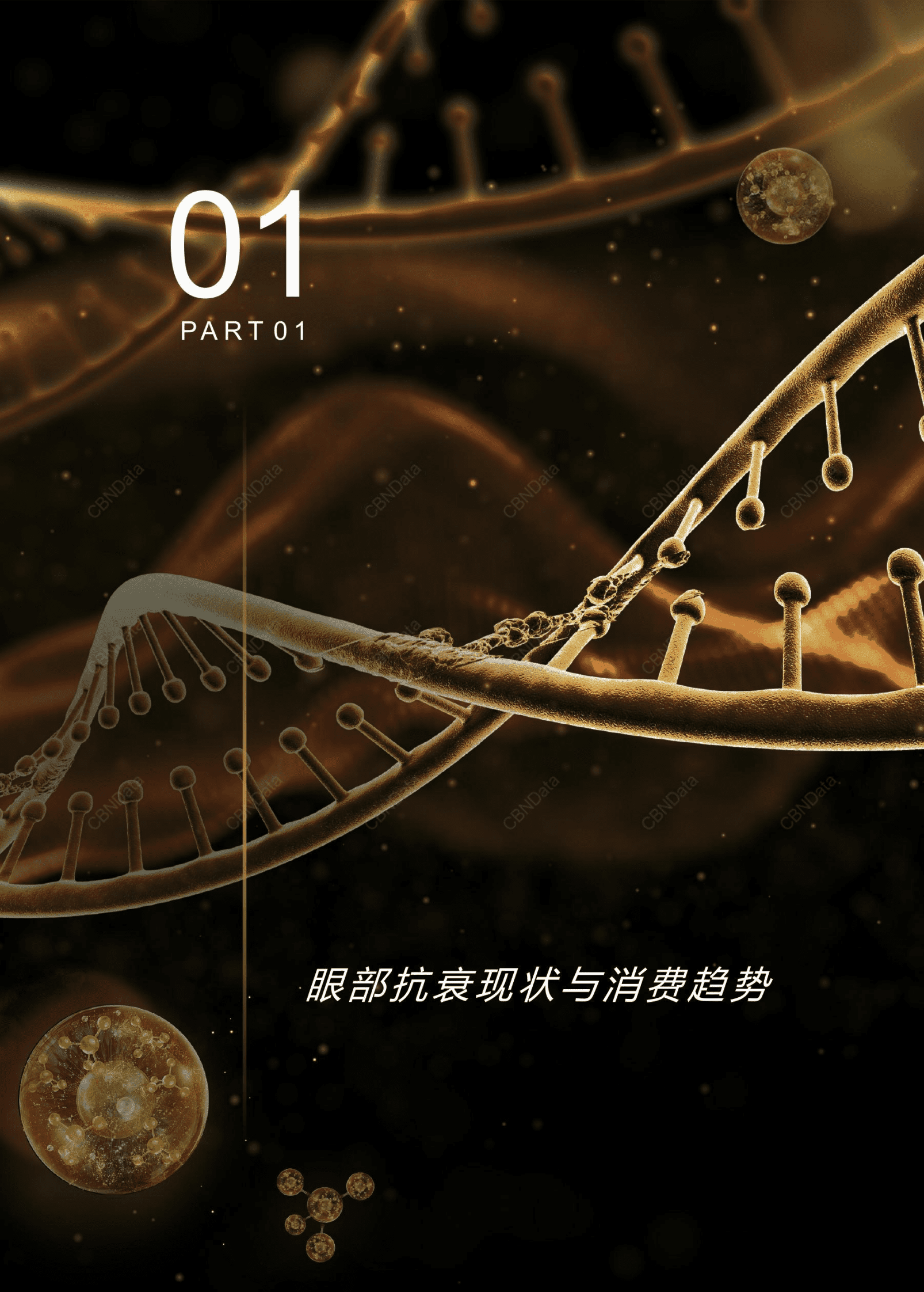 CBNData：2023眼部抗衰洞察白皮书 第3页