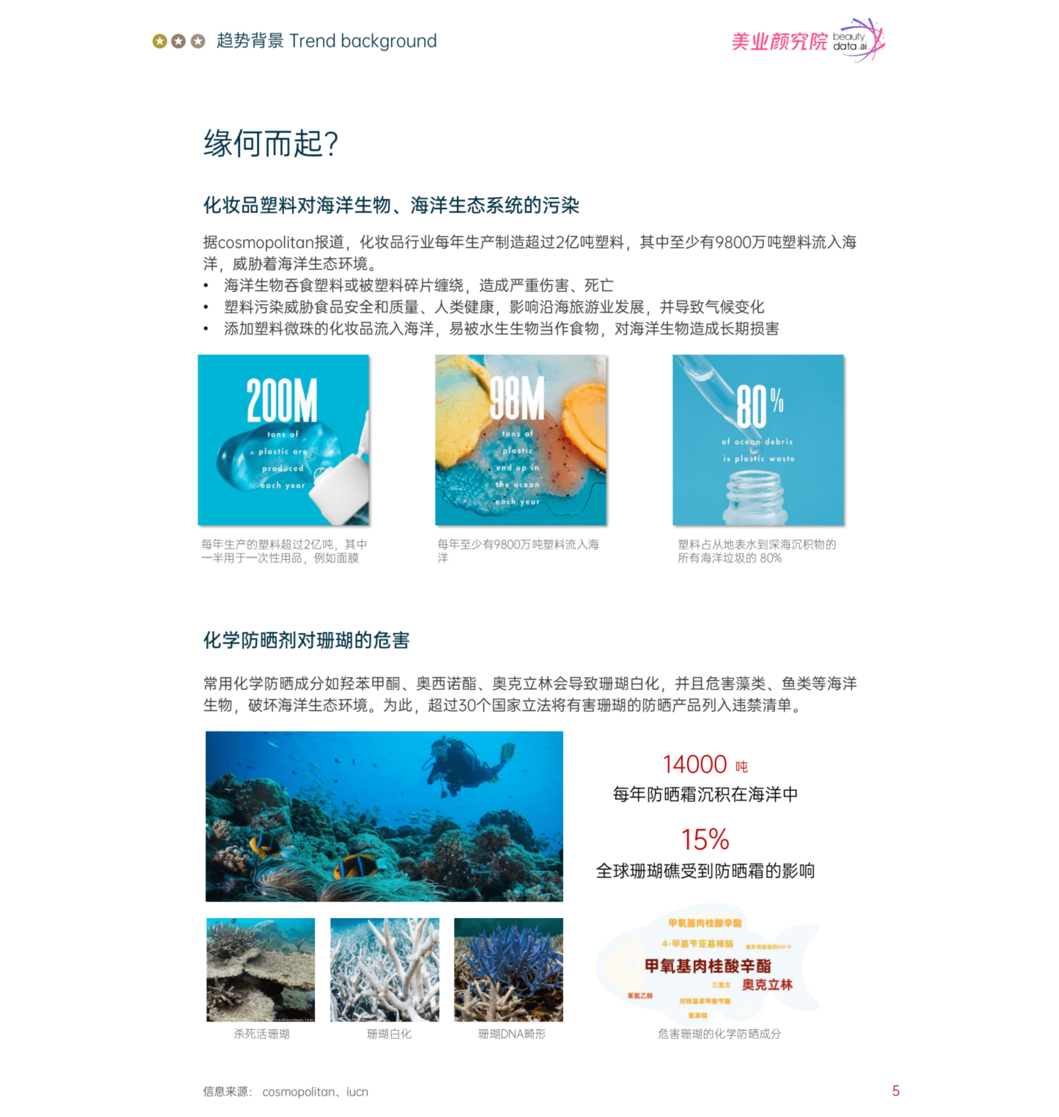美业研究院：蓝色美妆：下一个可持续发展分支 第5页