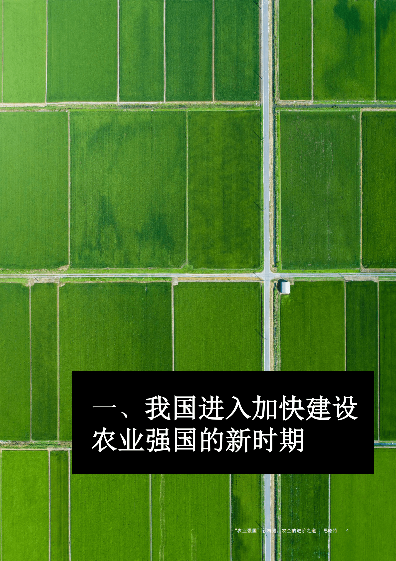 思略特：&rdquo;农业强国&ldquo;新机遇农企的进阶之道（2023） 第5页