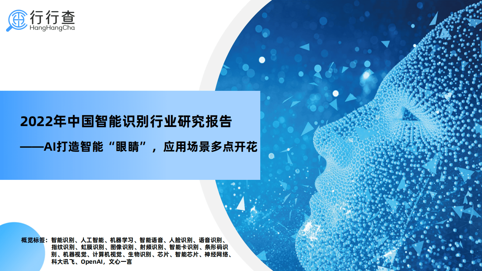 行行查：2022年中国智能识别行业研究报告 第1页