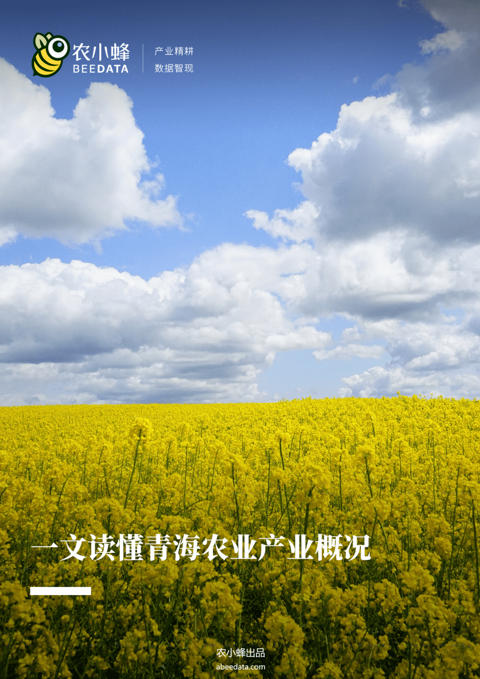 农小蜂：一文读懂青海农业产业概况 第1页