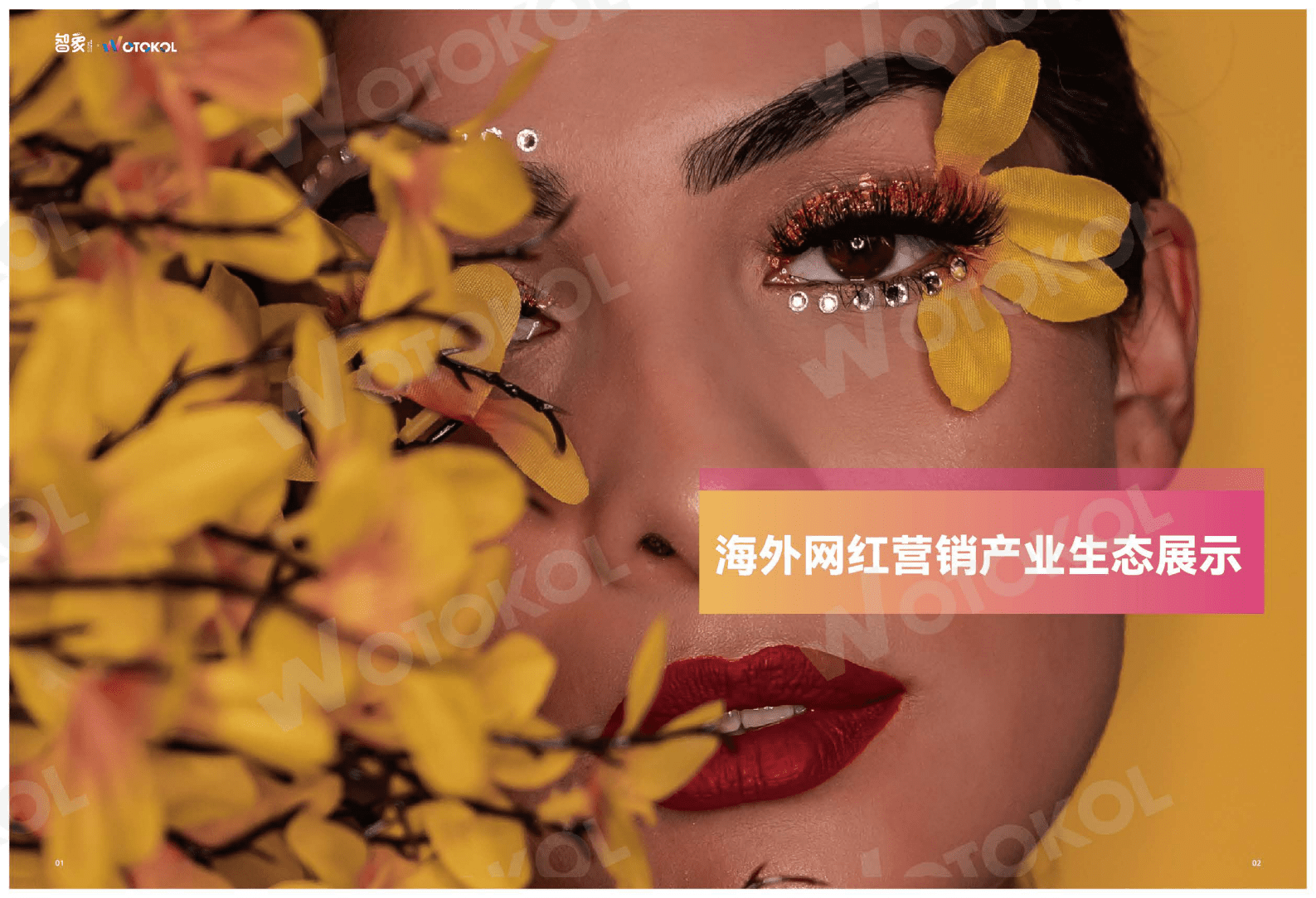 卧兔网络：2023海外网红营销白皮书2.0 第3页